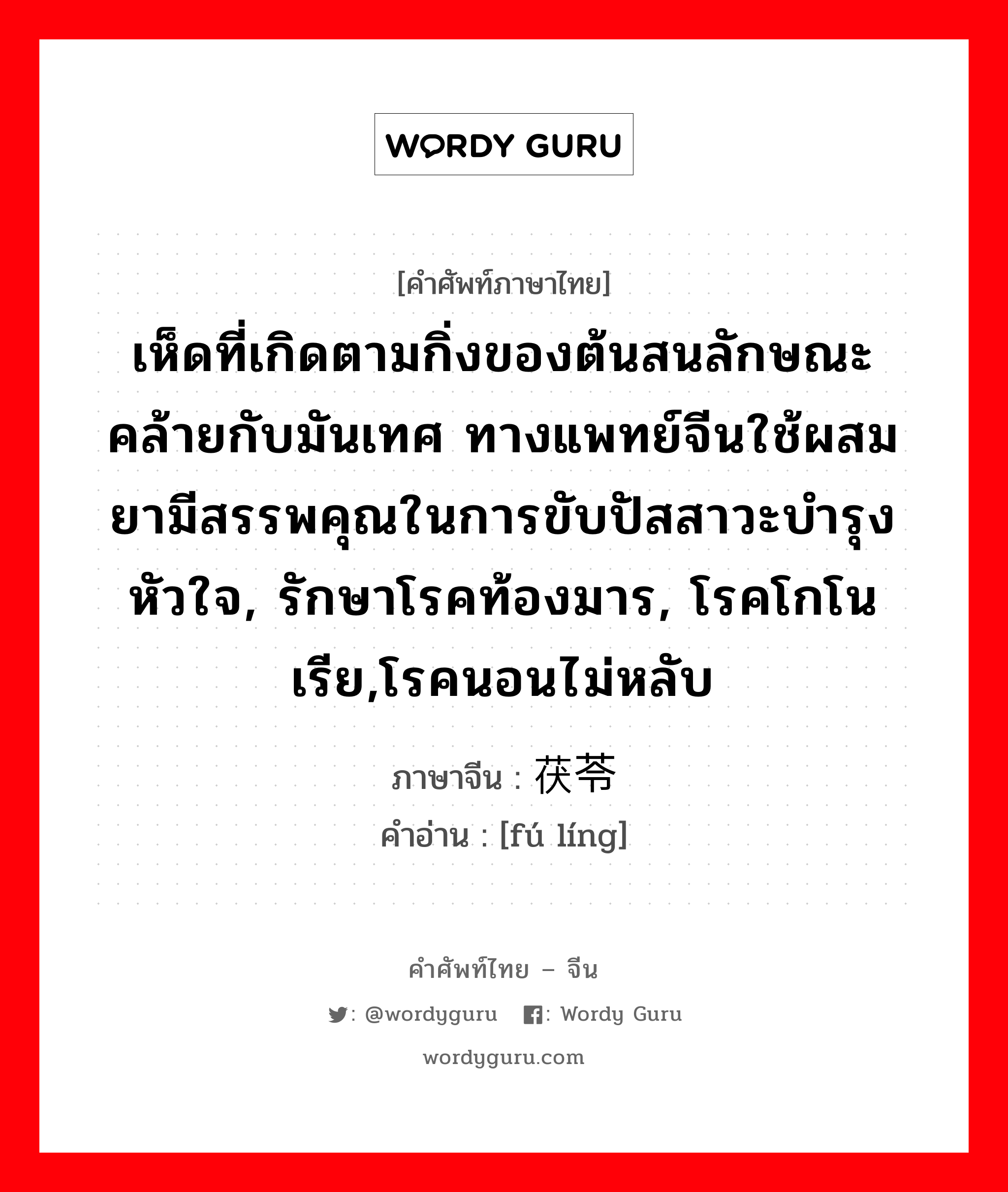 เห็ดที่เกิดตามกิ่งของต้นสนลักษณะคล้ายกับมันเทศ ทางแพทย์จีนใช้ผสมยามีสรรพคุณในการขับปัสสาวะบำรุงหัวใจ, รักษาโรคท้องมาร, โรคโกโนเรีย,โรคนอนไม่หลับ ภาษาจีนคืออะไร, คำศัพท์ภาษาไทย - จีน เห็ดที่เกิดตามกิ่งของต้นสนลักษณะคล้ายกับมันเทศ ทางแพทย์จีนใช้ผสมยามีสรรพคุณในการขับปัสสาวะบำรุงหัวใจ, รักษาโรคท้องมาร, โรคโกโนเรีย,โรคนอนไม่หลับ ภาษาจีน 茯苓 คำอ่าน [fú líng]