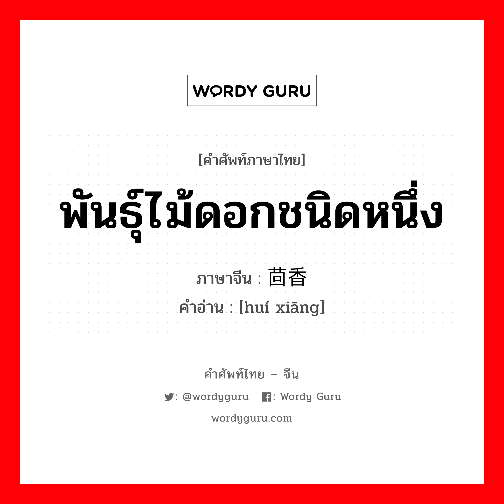 พันธุ์ไม้ดอกชนิดหนึ่ง ภาษาจีนคืออะไร, คำศัพท์ภาษาไทย - จีน พันธุ์ไม้ดอกชนิดหนึ่ง ภาษาจีน 茴香 คำอ่าน [huí xiāng]