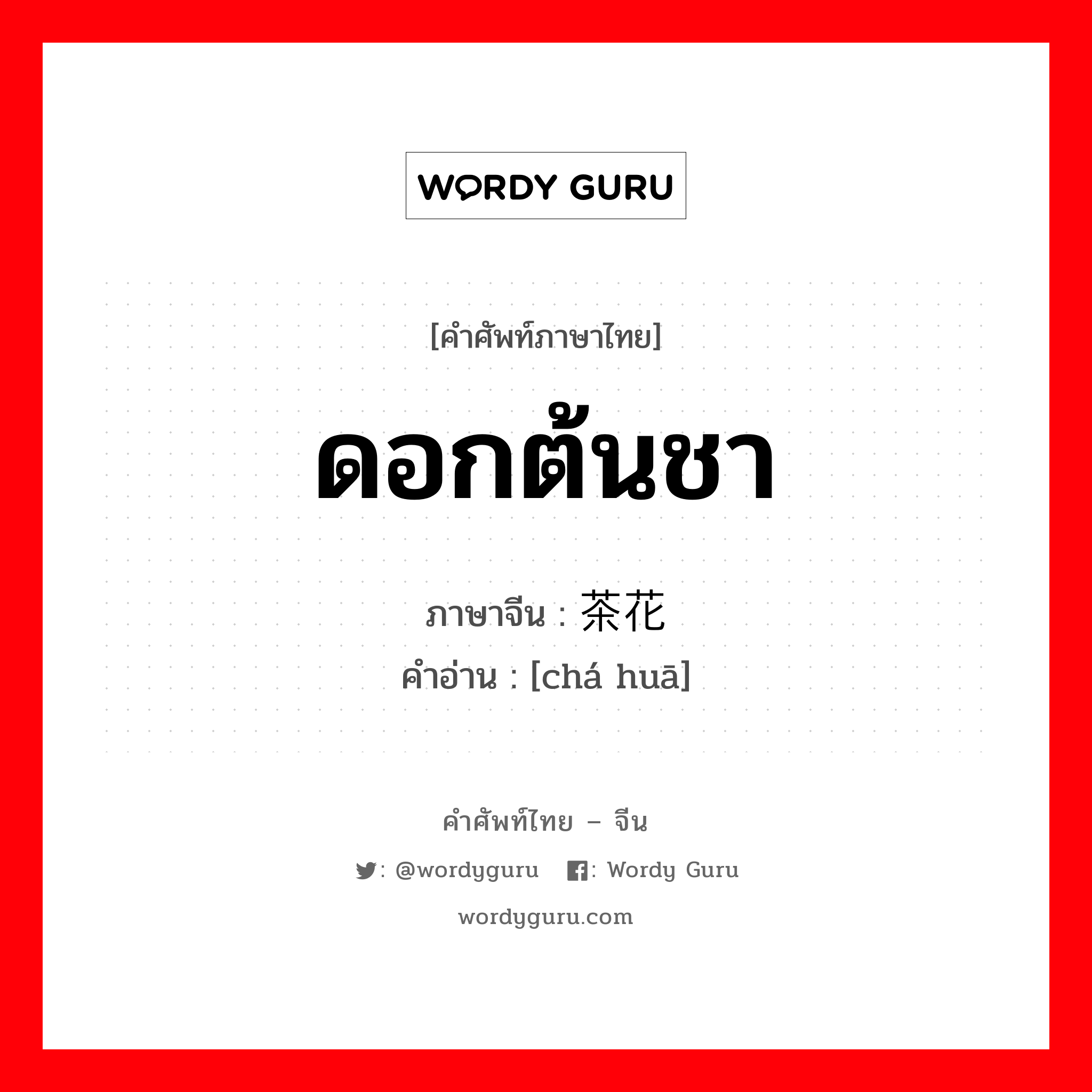 ดอกต้นชา ภาษาจีนคืออะไร, คำศัพท์ภาษาไทย - จีน ดอกต้นชา ภาษาจีน 茶花 คำอ่าน [chá huā]