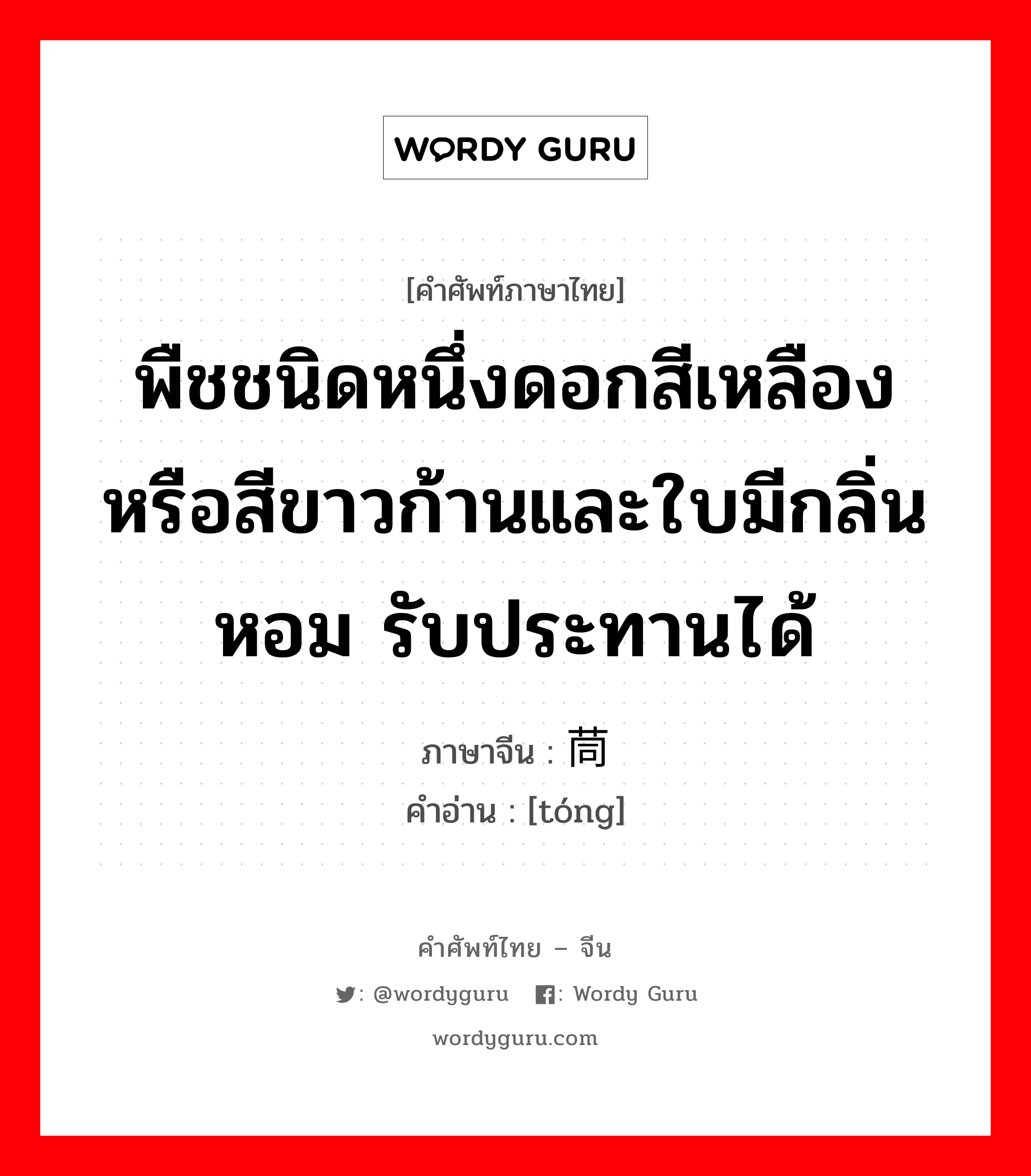 พืชชนิดหนึ่งดอกสีเหลืองหรือสีขาวก้านและใบมีกลิ่นหอม รับประทานได้ ภาษาจีนคืออะไร, คำศัพท์ภาษาไทย - จีน พืชชนิดหนึ่งดอกสีเหลืองหรือสีขาวก้านและใบมีกลิ่นหอม รับประทานได้ ภาษาจีน 茼 คำอ่าน [tóng]