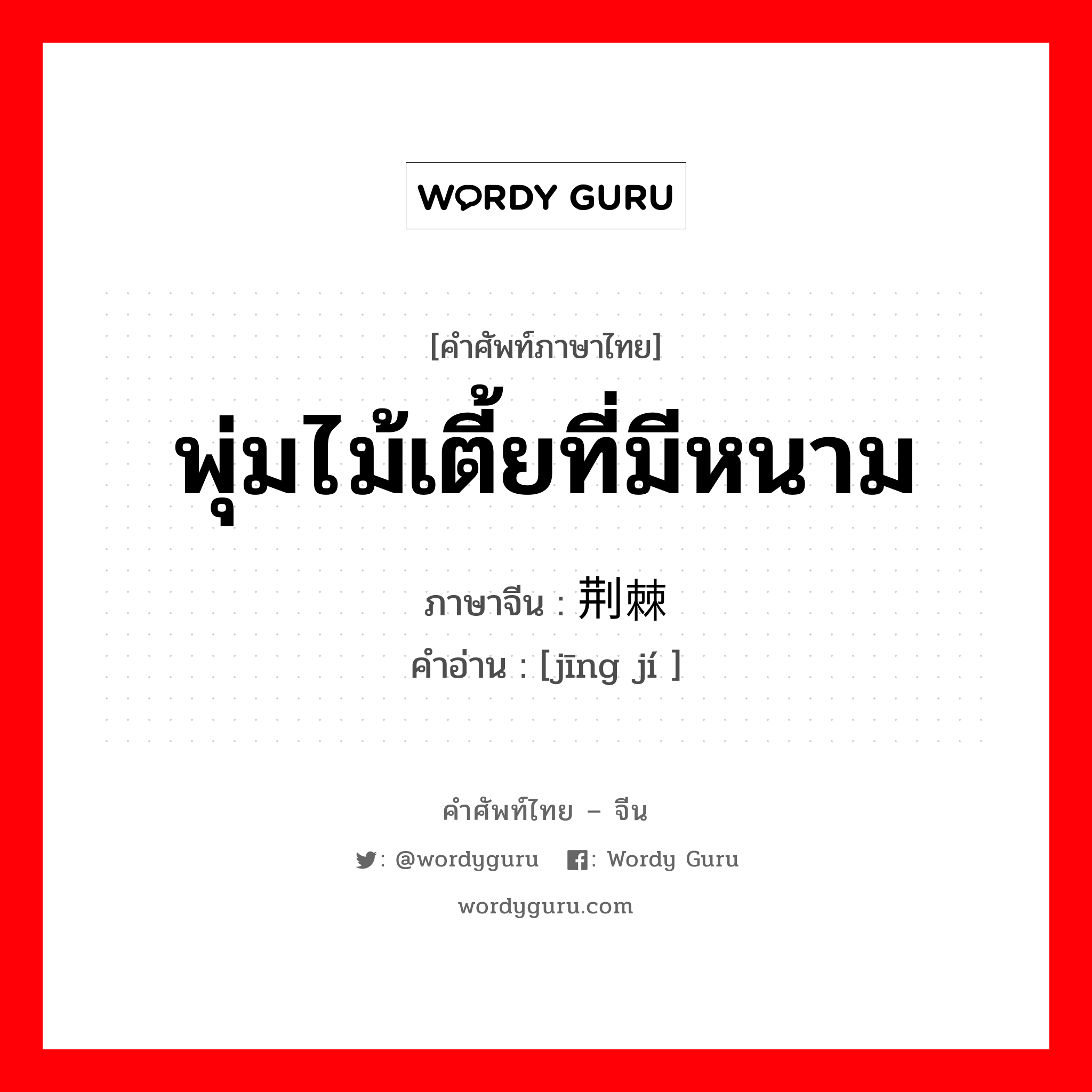 พุ่มไม้เตี้ยที่มีหนาม ภาษาจีนคืออะไร, คำศัพท์ภาษาไทย - จีน พุ่มไม้เตี้ยที่มีหนาม ภาษาจีน 荆棘 คำอ่าน [jīng jí ]