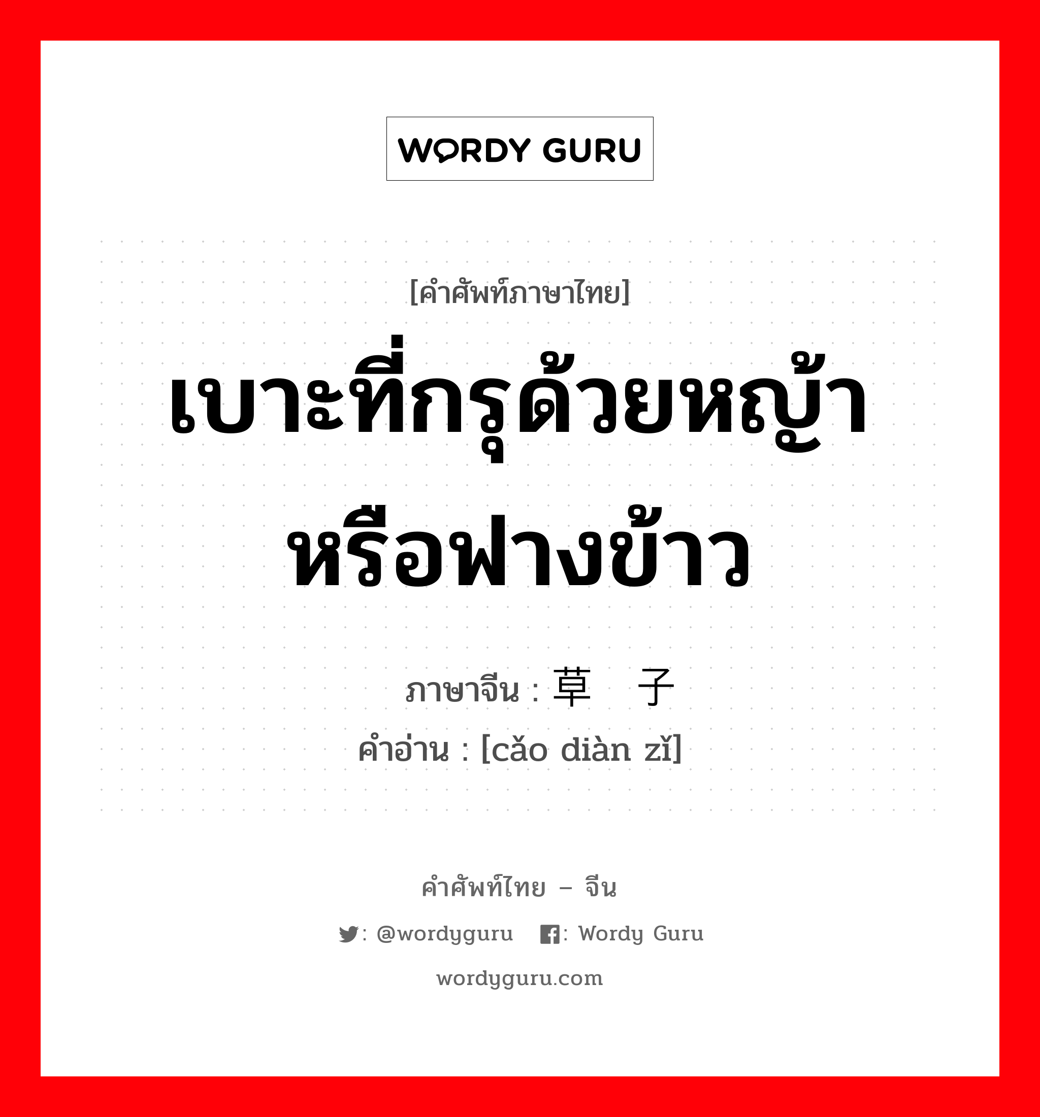 เบาะที่กรุด้วยหญ้าหรือฟางข้าว ภาษาจีนคืออะไร, คำศัพท์ภาษาไทย - จีน เบาะที่กรุด้วยหญ้าหรือฟางข้าว ภาษาจีน 草垫子 คำอ่าน [cǎo diàn zǐ]