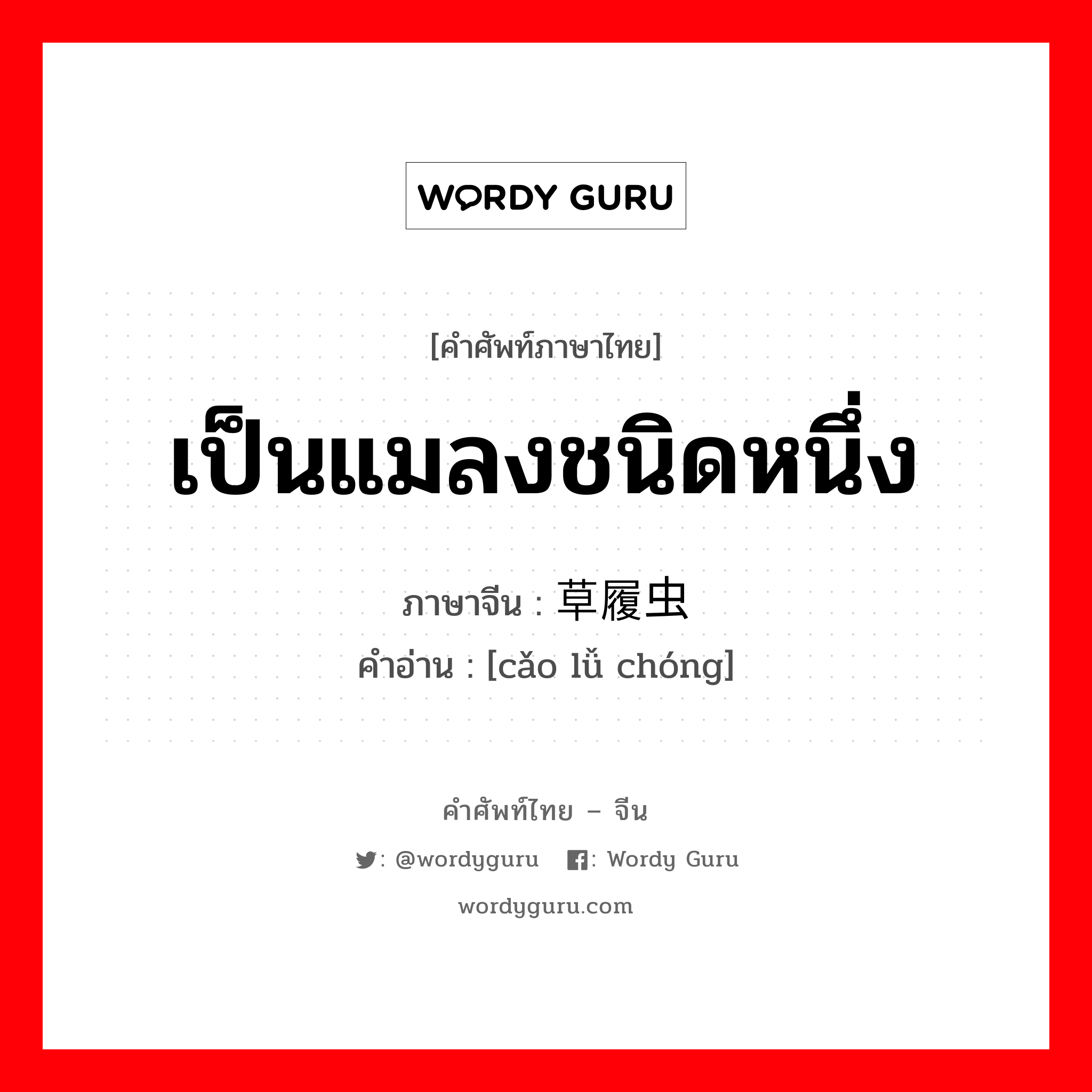 เป็นแมลงชนิดหนึ่ง ภาษาจีนคืออะไร, คำศัพท์ภาษาไทย - จีน เป็นแมลงชนิดหนึ่ง ภาษาจีน 草履虫 คำอ่าน [cǎo lǚ chóng]