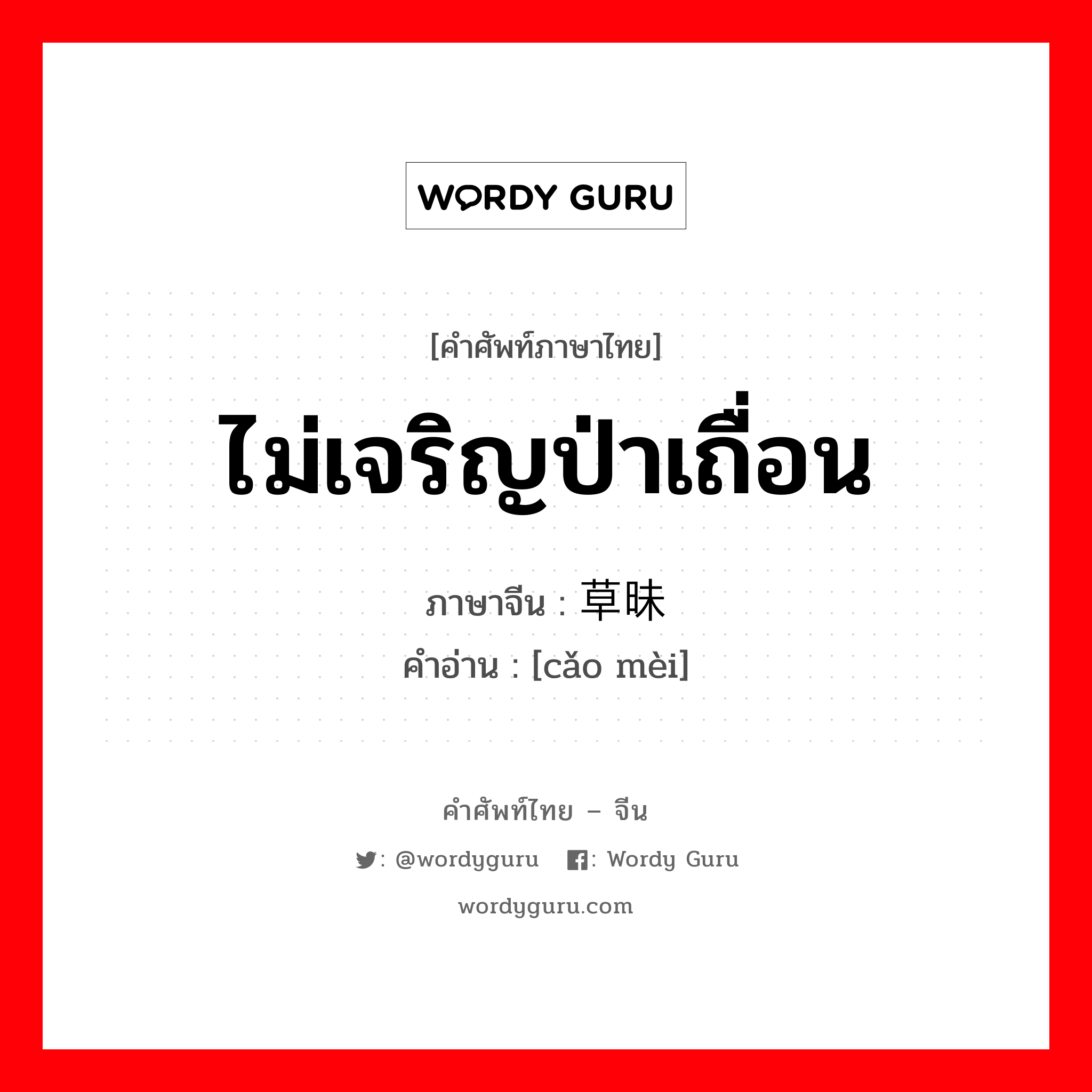 ไม่เจริญป่าเถื่อน ภาษาจีนคืออะไร, คำศัพท์ภาษาไทย - จีน ไม่เจริญป่าเถื่อน ภาษาจีน 草昧 คำอ่าน [cǎo mèi]