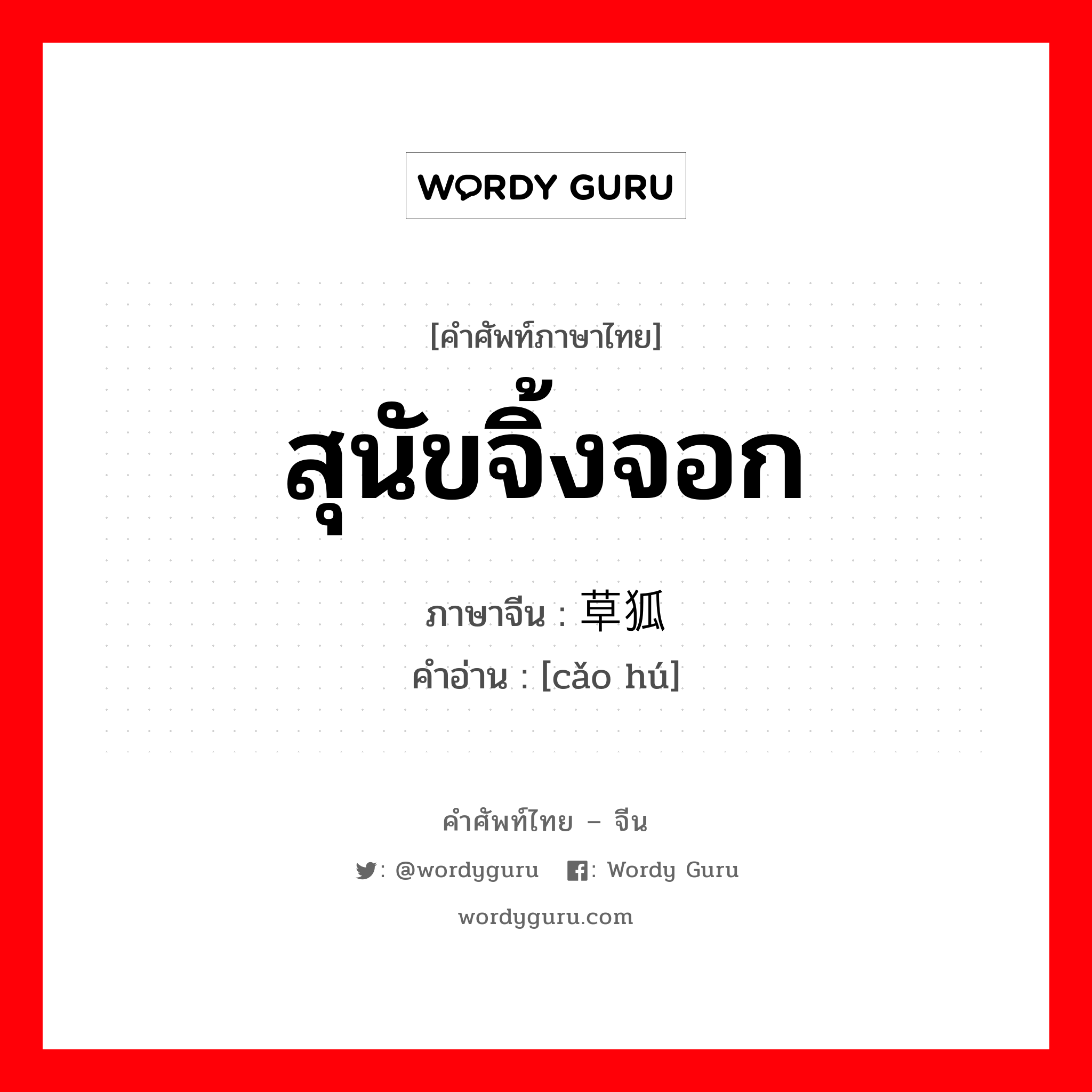 สุนัขจิ้งจอก ภาษาจีนคืออะไร, คำศัพท์ภาษาไทย - จีน สุนัขจิ้งจอก ภาษาจีน 草狐 คำอ่าน [cǎo hú]