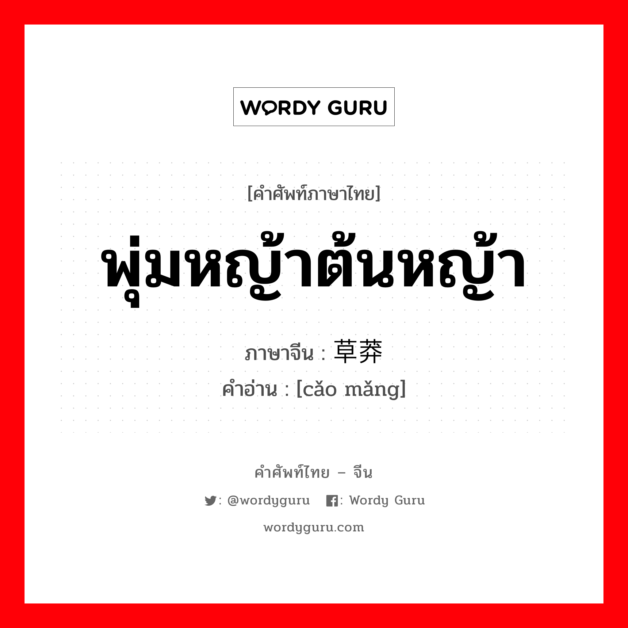 พุ่มหญ้าต้นหญ้า ภาษาจีนคืออะไร, คำศัพท์ภาษาไทย - จีน พุ่มหญ้าต้นหญ้า ภาษาจีน 草莽 คำอ่าน [cǎo mǎng]