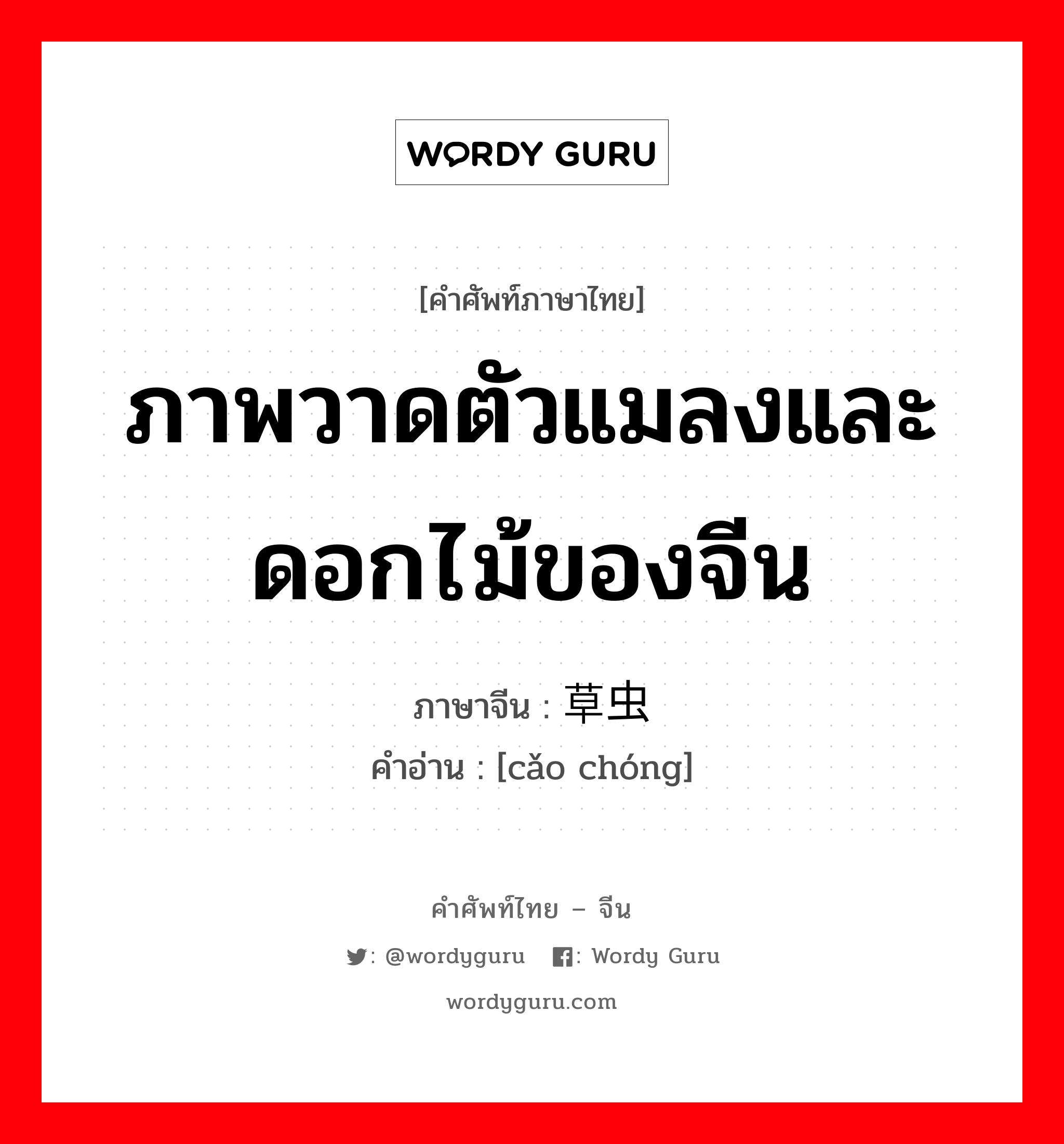 ภาพวาดตัวแมลงและดอกไม้ของจีน ภาษาจีนคืออะไร, คำศัพท์ภาษาไทย - จีน ภาพวาดตัวแมลงและดอกไม้ของจีน ภาษาจีน 草虫 คำอ่าน [cǎo chóng]