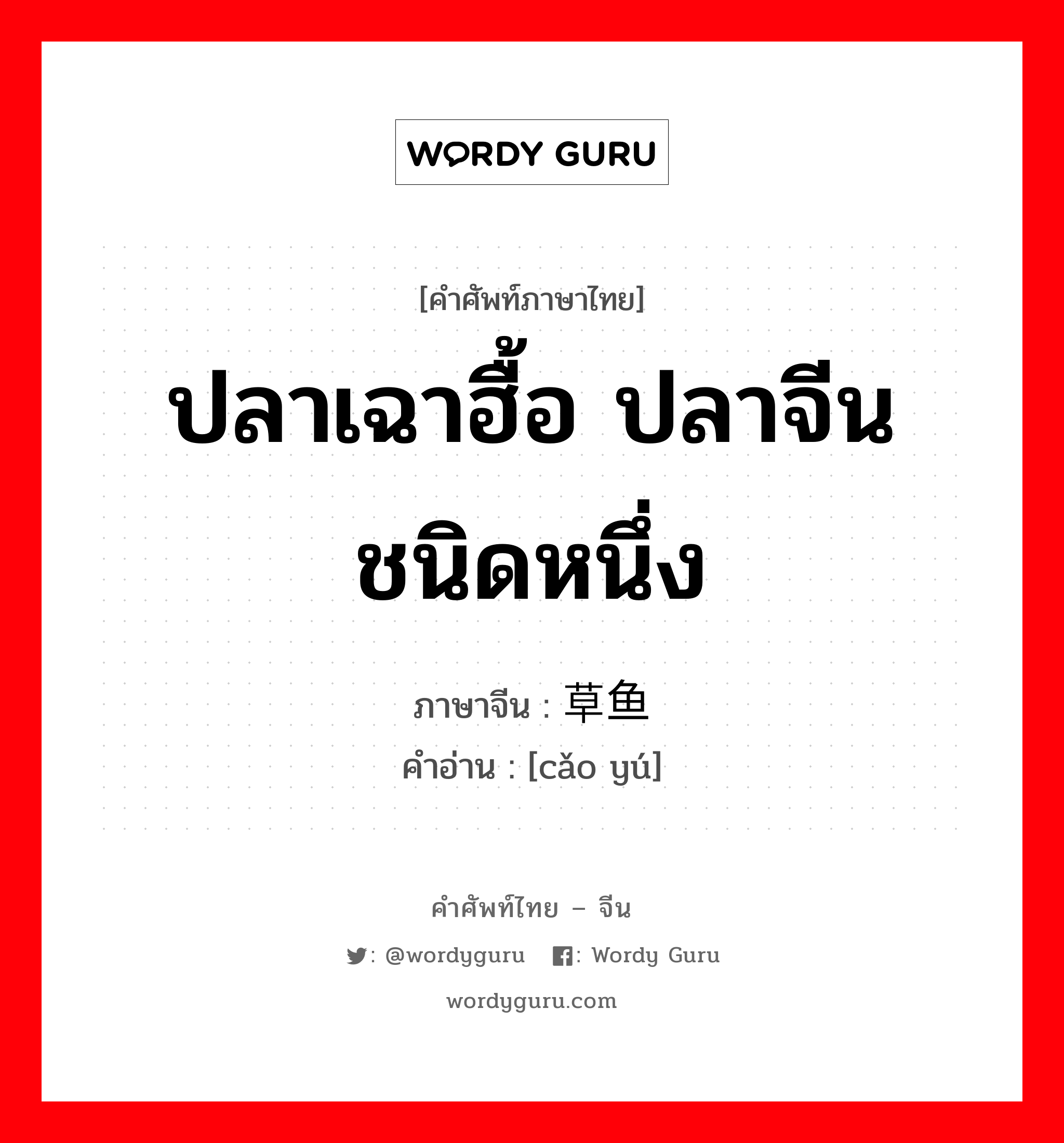 ปลาเฉาฮื้อ ปลาจีนชนิดหนึ่ง ภาษาจีนคืออะไร, คำศัพท์ภาษาไทย - จีน ปลาเฉาฮื้อ ปลาจีนชนิดหนึ่ง ภาษาจีน 草鱼 คำอ่าน [cǎo yú]