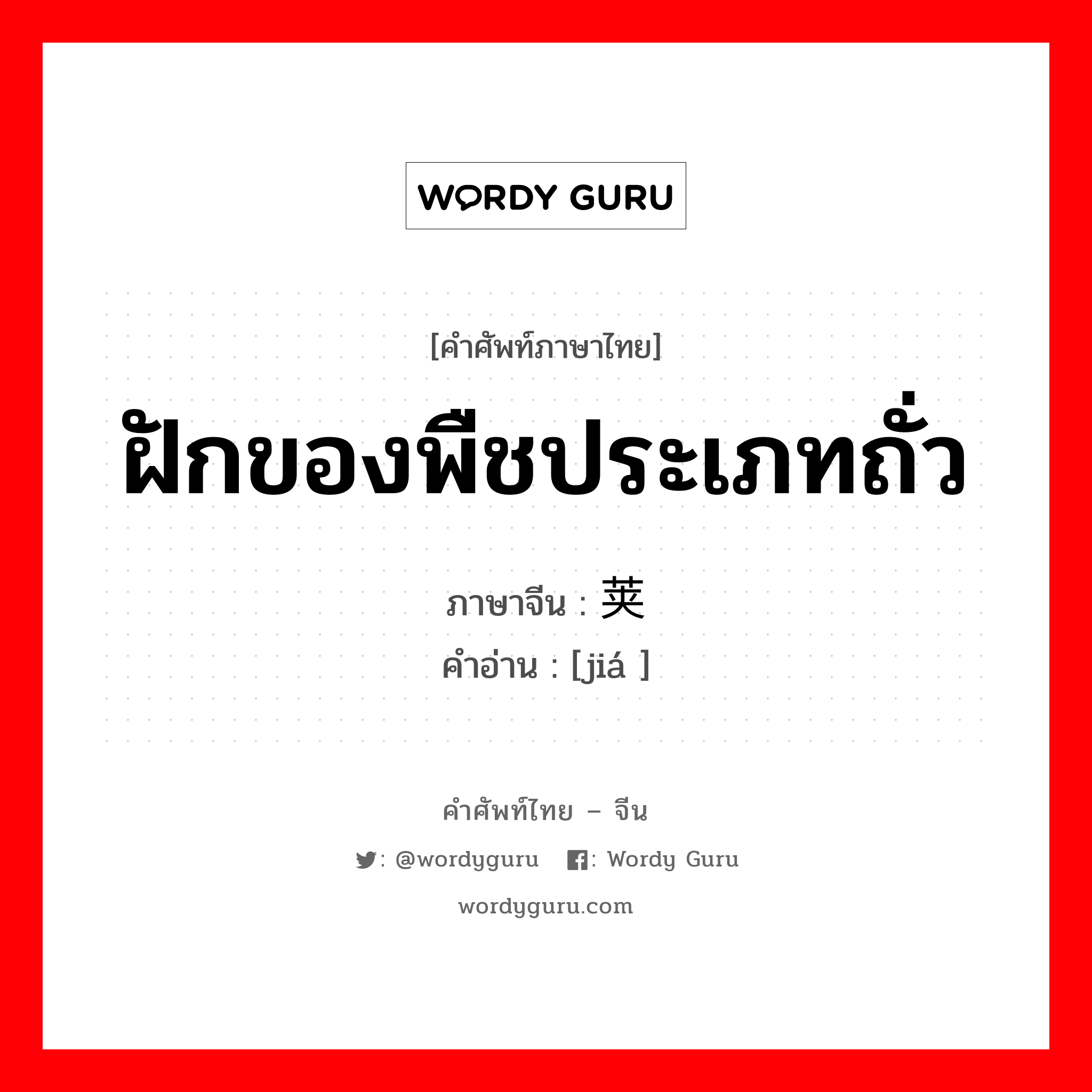 ฝักของพืชประเภทถั่ว ภาษาจีนคืออะไร, คำศัพท์ภาษาไทย - จีน ฝักของพืชประเภทถั่ว ภาษาจีน 荚 คำอ่าน [jiá ]