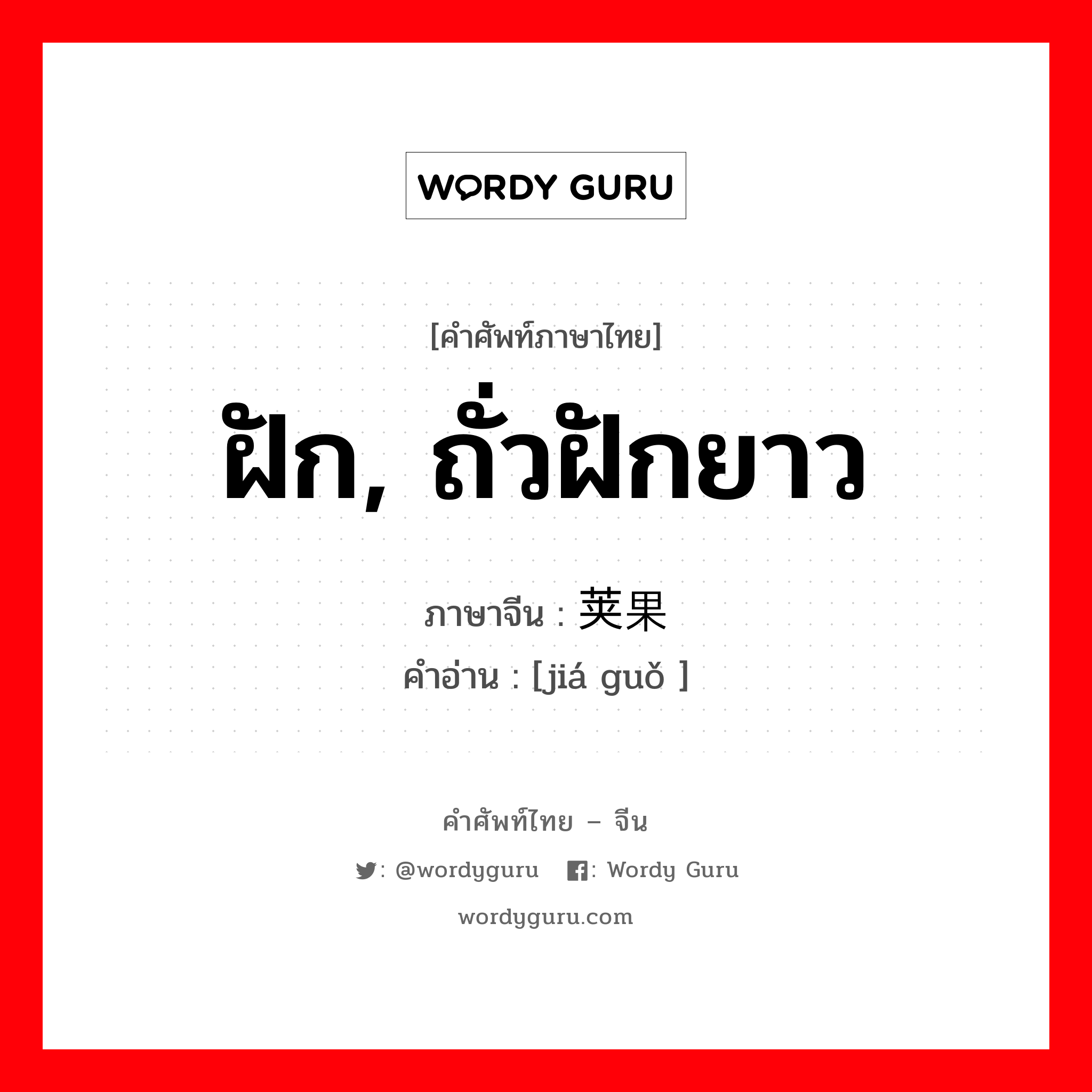 ฝัก, ถั่วฝักยาว ภาษาจีนคืออะไร, คำศัพท์ภาษาไทย - จีน ฝัก, ถั่วฝักยาว ภาษาจีน 荚果 คำอ่าน [jiá guǒ ]