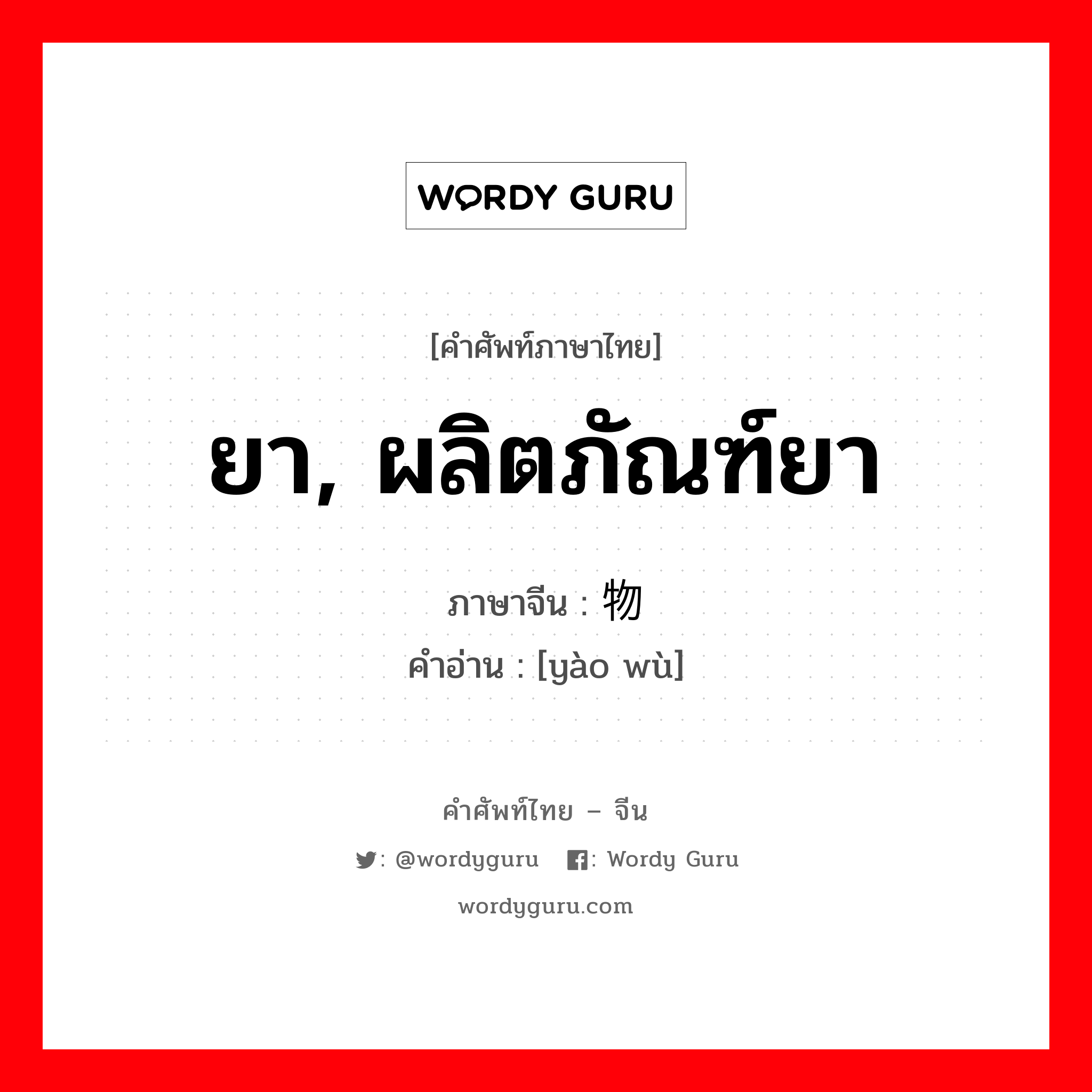 ยา, ผลิตภัณฑ์ยา ภาษาจีนคืออะไร, คำศัพท์ภาษาไทย - จีน ยา, ผลิตภัณฑ์ยา ภาษาจีน 药物 คำอ่าน [yào wù]