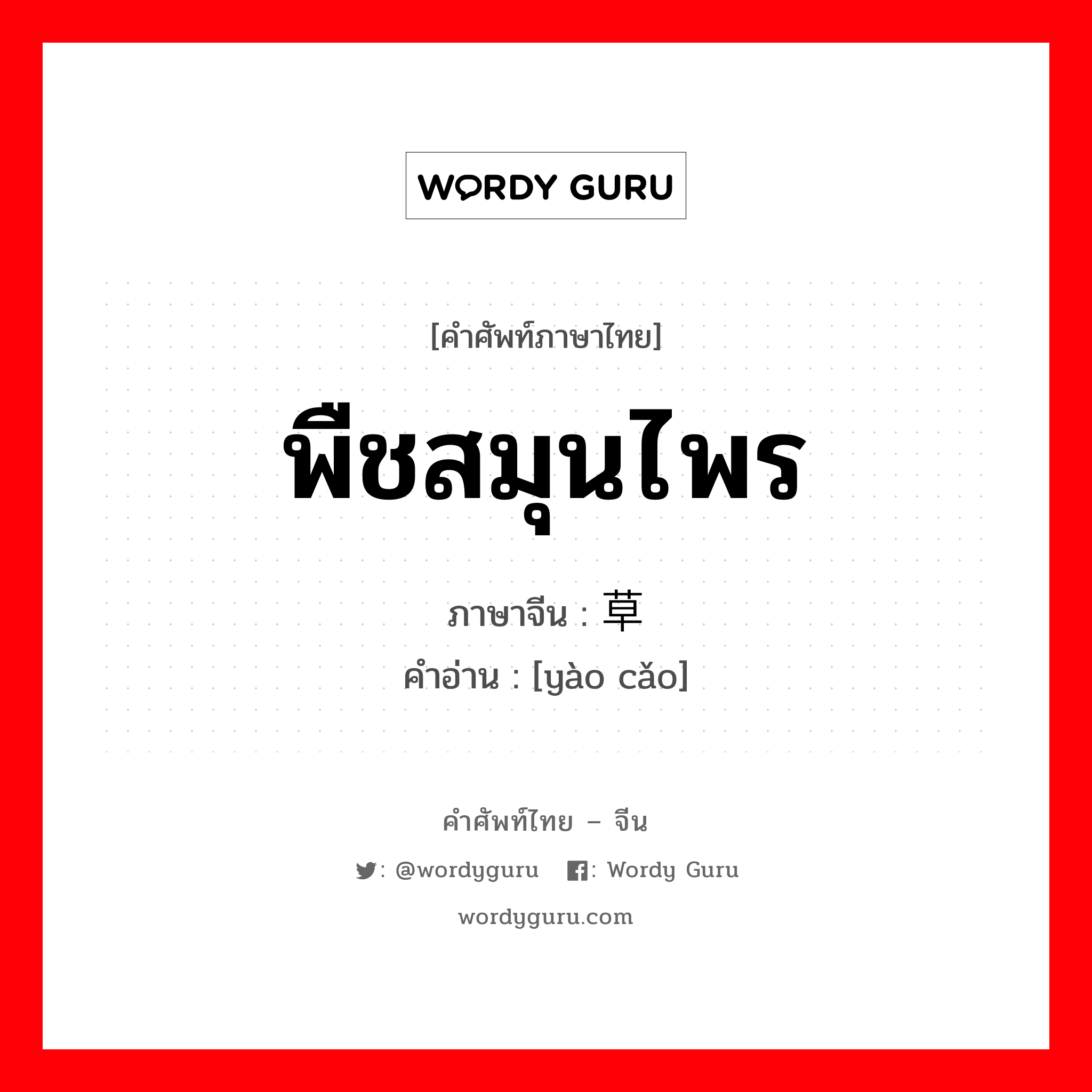 พืชสมุนไพร ภาษาจีนคืออะไร, คำศัพท์ภาษาไทย - จีน พืชสมุนไพร ภาษาจีน 药草 คำอ่าน [yào cǎo]