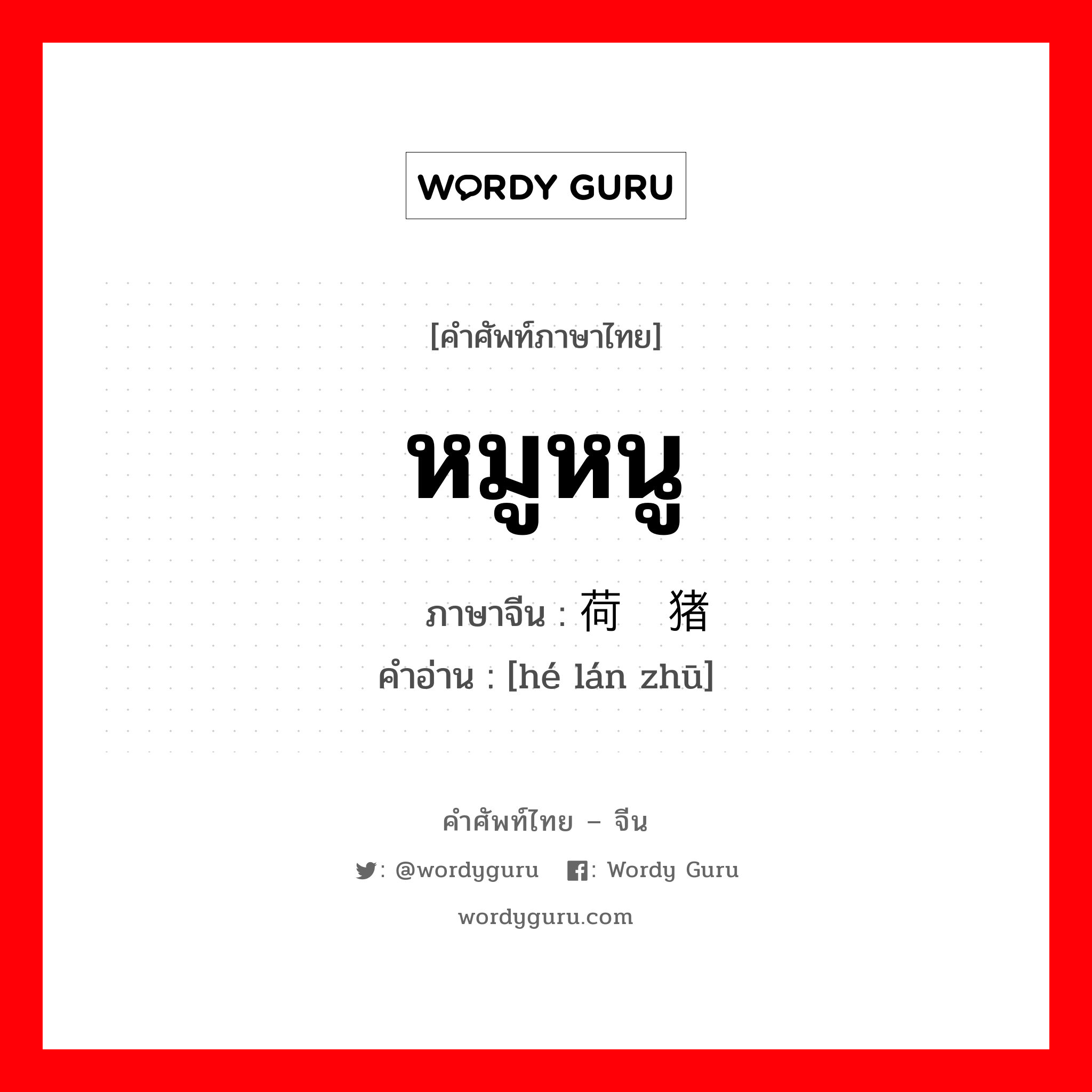 หมูหนู ภาษาจีนคืออะไร, คำศัพท์ภาษาไทย - จีน หมูหนู ภาษาจีน 荷兰猪 คำอ่าน [hé lán zhū]