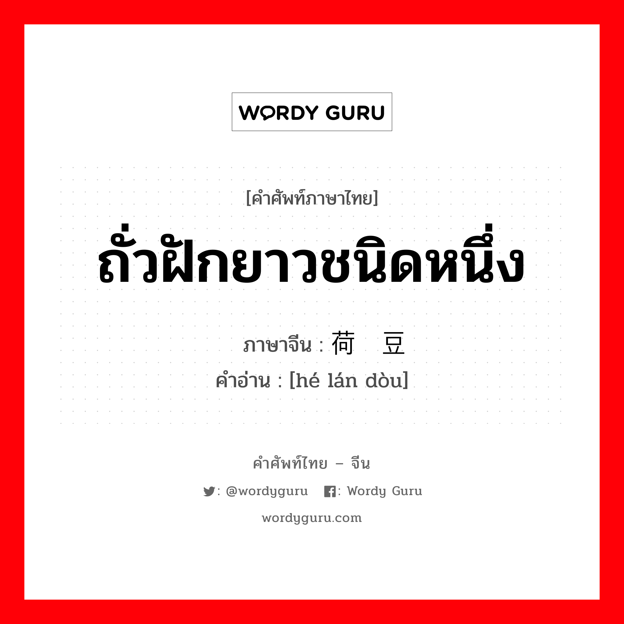 ถั่วฝักยาวชนิดหนึ่ง ภาษาจีนคืออะไร, คำศัพท์ภาษาไทย - จีน ถั่วฝักยาวชนิดหนึ่ง ภาษาจีน 荷兰豆 คำอ่าน [hé lán dòu]