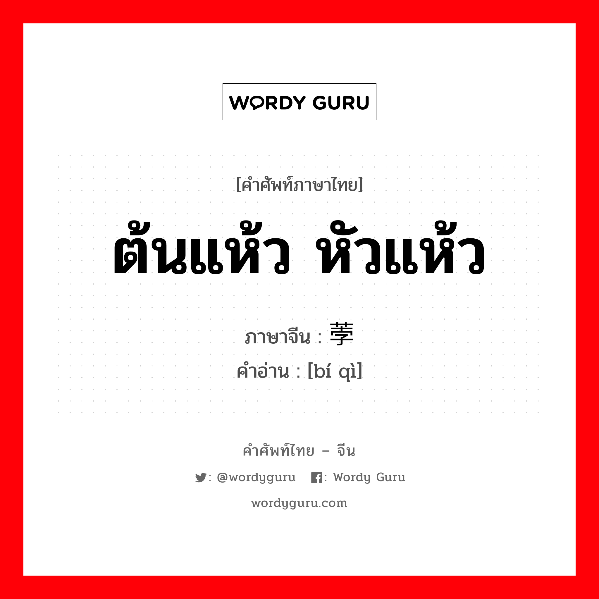 ต้นแห้ว หัวแห้ว ภาษาจีนคืออะไร, คำศัพท์ภาษาไทย - จีน ต้นแห้ว หัวแห้ว ภาษาจีน 荸荠 คำอ่าน [bí qì]