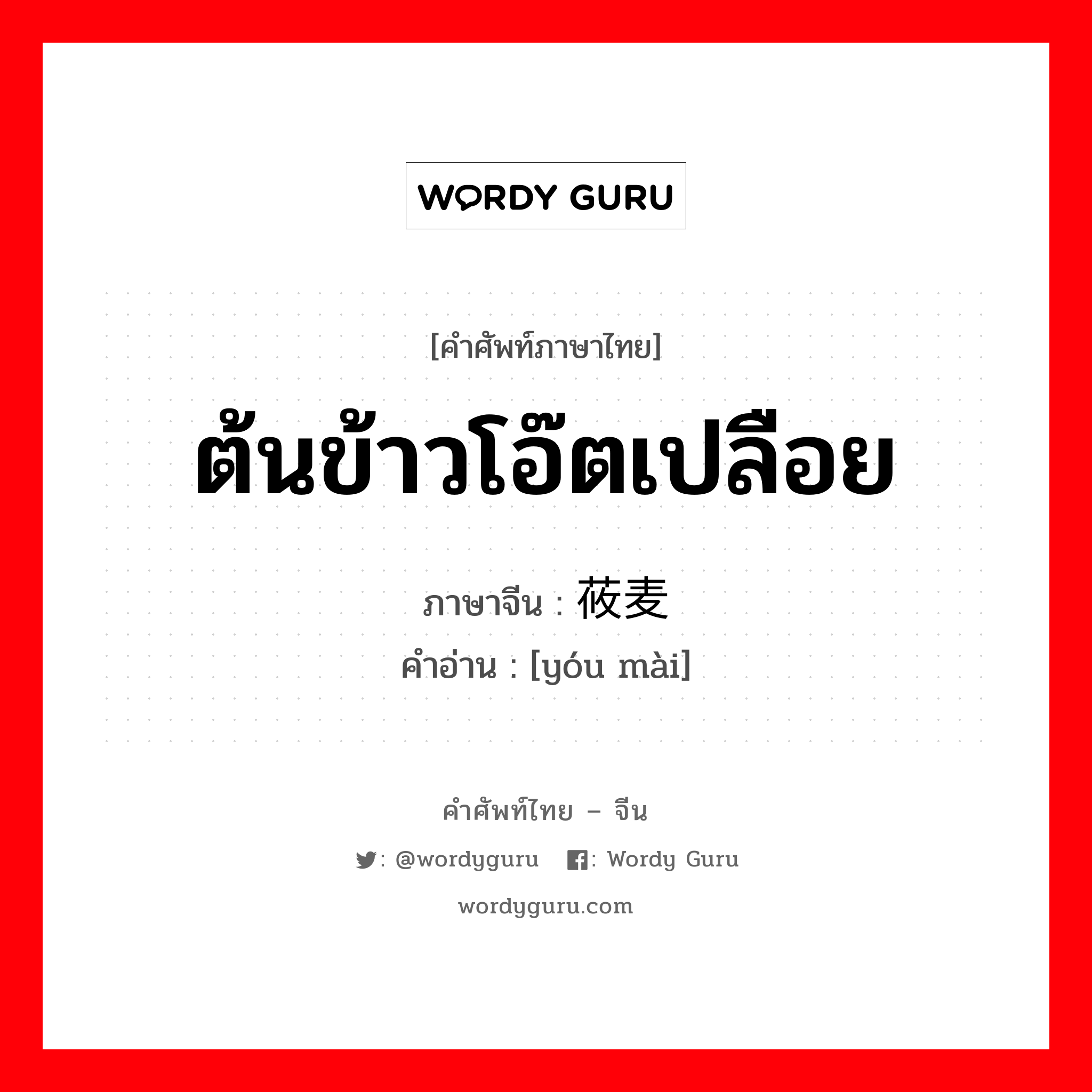 ต้นข้าวโอ๊ตเปลือย ภาษาจีนคืออะไร, คำศัพท์ภาษาไทย - จีน ต้นข้าวโอ๊ตเปลือย ภาษาจีน 莜麦 คำอ่าน [yóu mài]