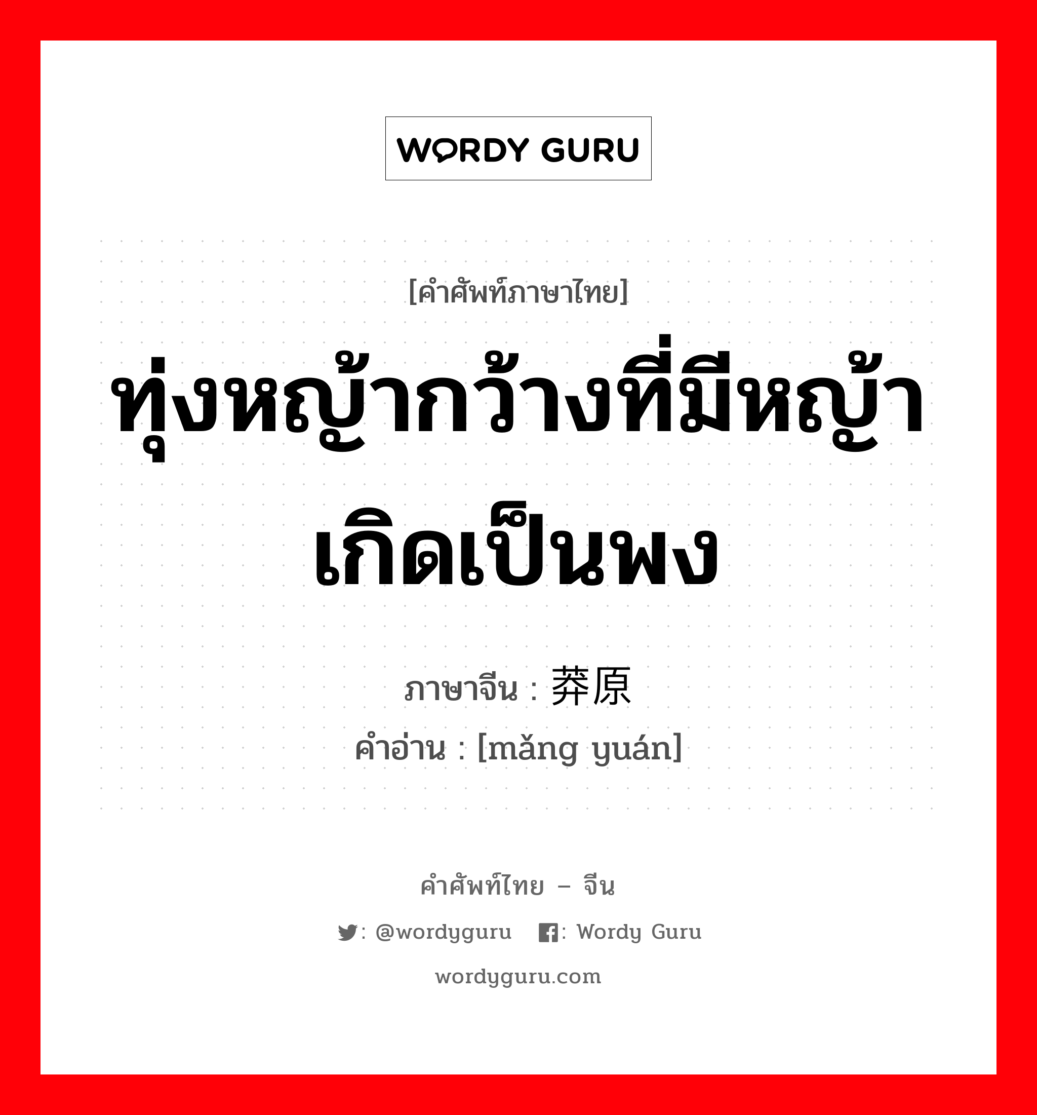 ทุ่งหญ้ากว้างที่มีหญ้าเกิดเป็นพง ภาษาจีนคืออะไร, คำศัพท์ภาษาไทย - จีน ทุ่งหญ้ากว้างที่มีหญ้าเกิดเป็นพง ภาษาจีน 莽原 คำอ่าน [mǎng yuán]