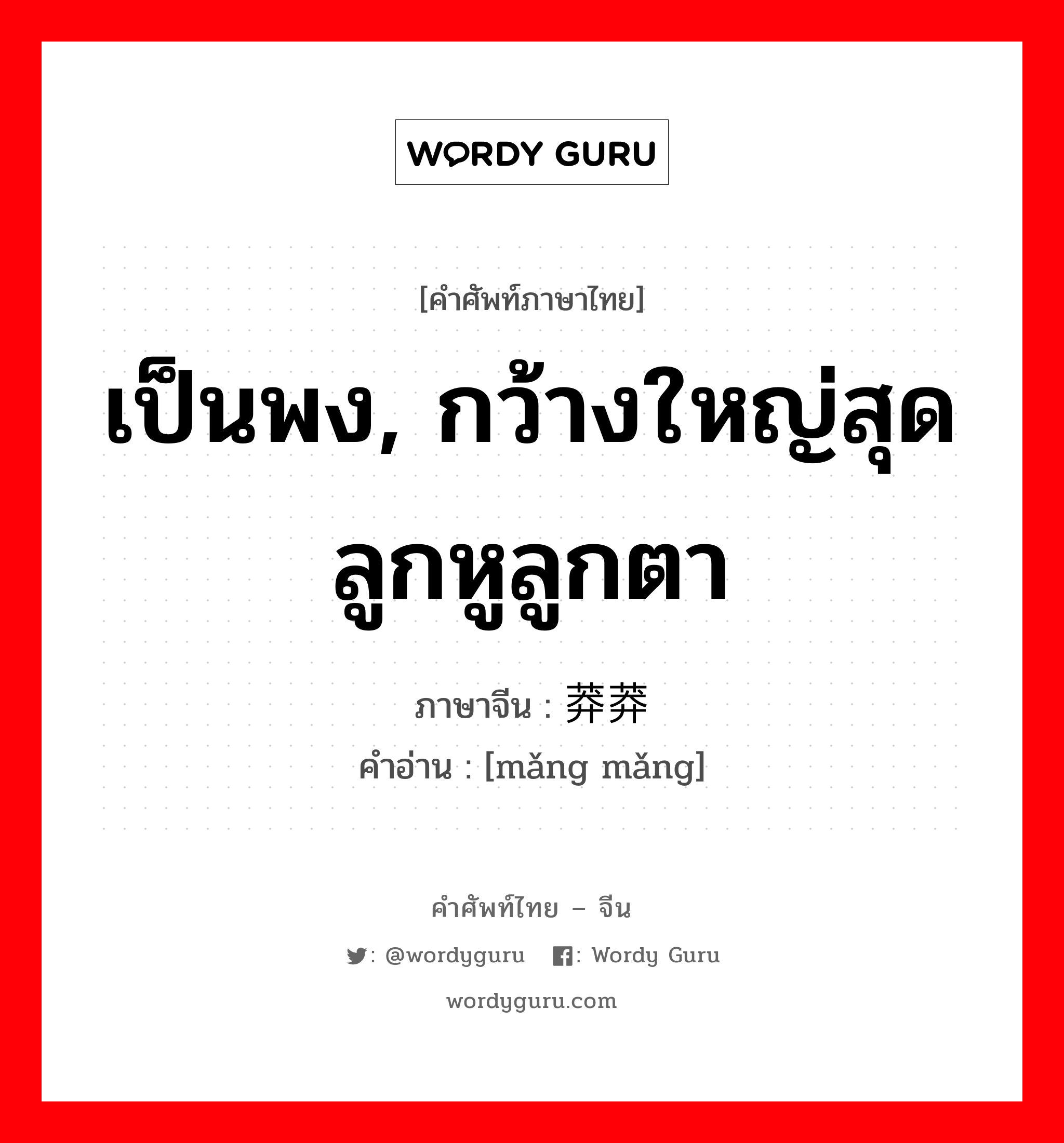 เป็นพง, กว้างใหญ่สุดลูกหูลูกตา ภาษาจีนคืออะไร, คำศัพท์ภาษาไทย - จีน เป็นพง, กว้างใหญ่สุดลูกหูลูกตา ภาษาจีน 莽莽 คำอ่าน [mǎng mǎng]