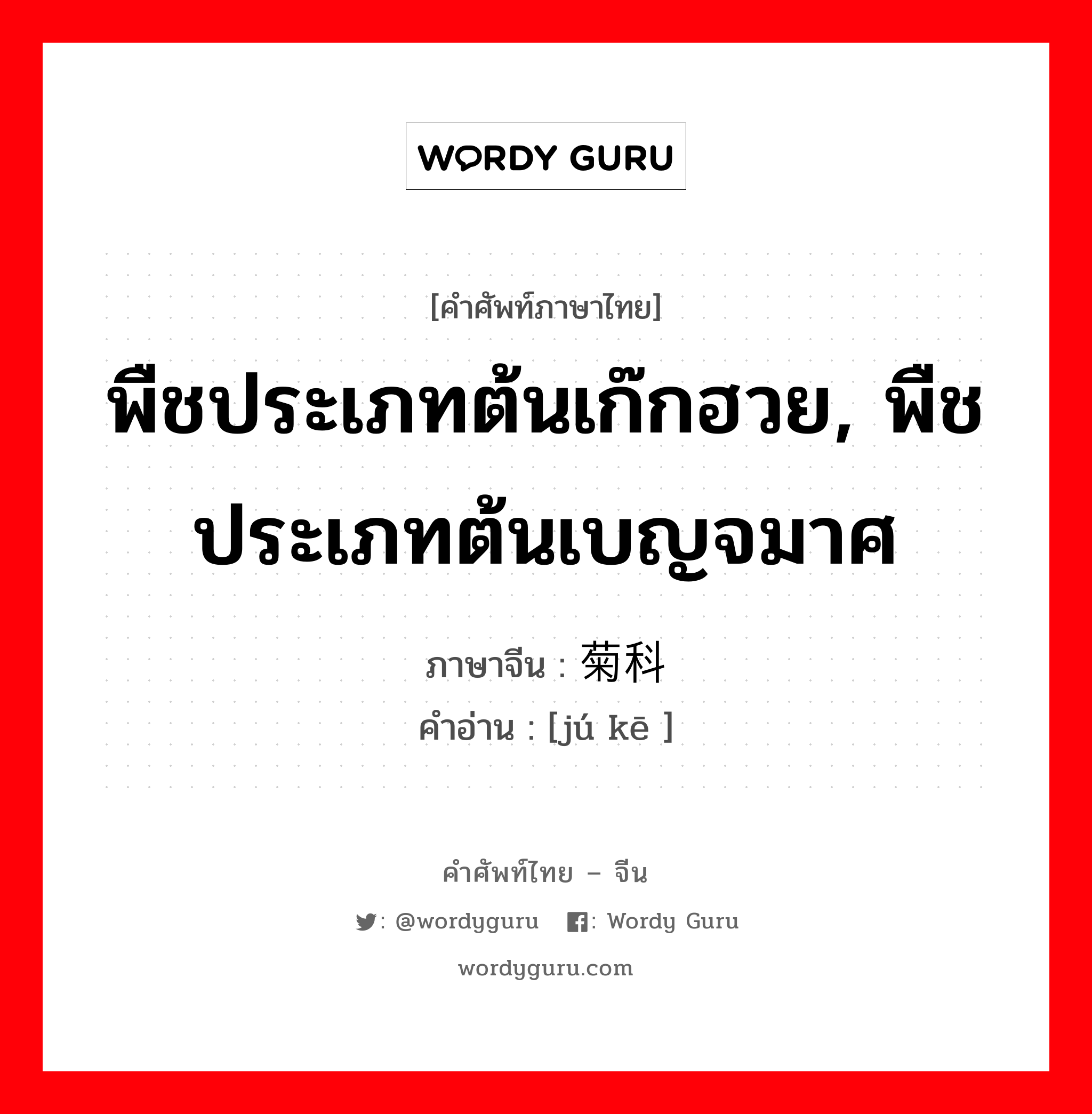 พืชประเภทต้นเก๊กฮวย, พืชประเภทต้นเบญจมาศ ภาษาจีนคืออะไร, คำศัพท์ภาษาไทย - จีน พืชประเภทต้นเก๊กฮวย, พืชประเภทต้นเบญจมาศ ภาษาจีน 菊科 คำอ่าน [jú kē ]