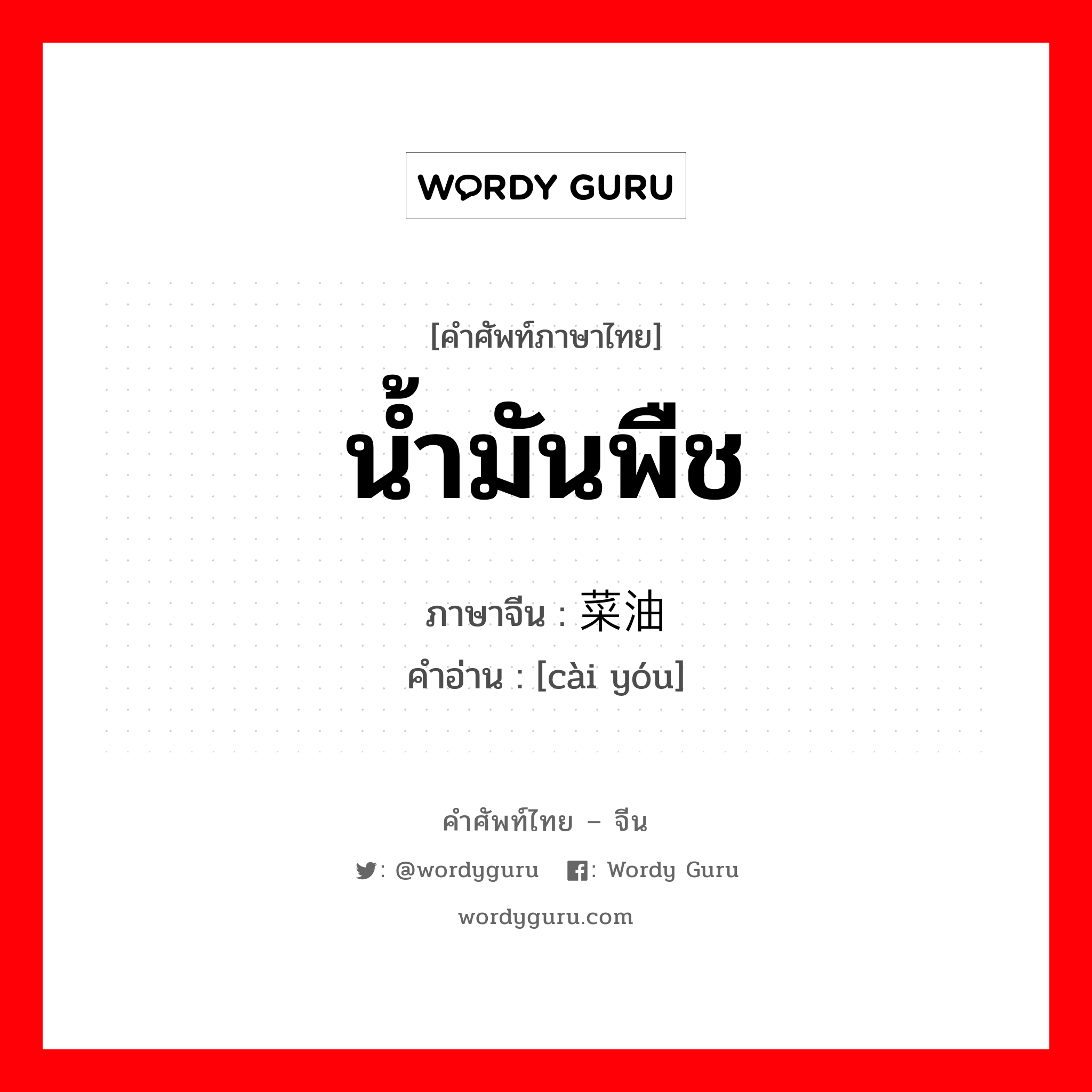 น้ำมันพืช ภาษาจีนคืออะไร, คำศัพท์ภาษาไทย - จีน น้ำมันพืช ภาษาจีน 菜油 คำอ่าน [cài yóu]