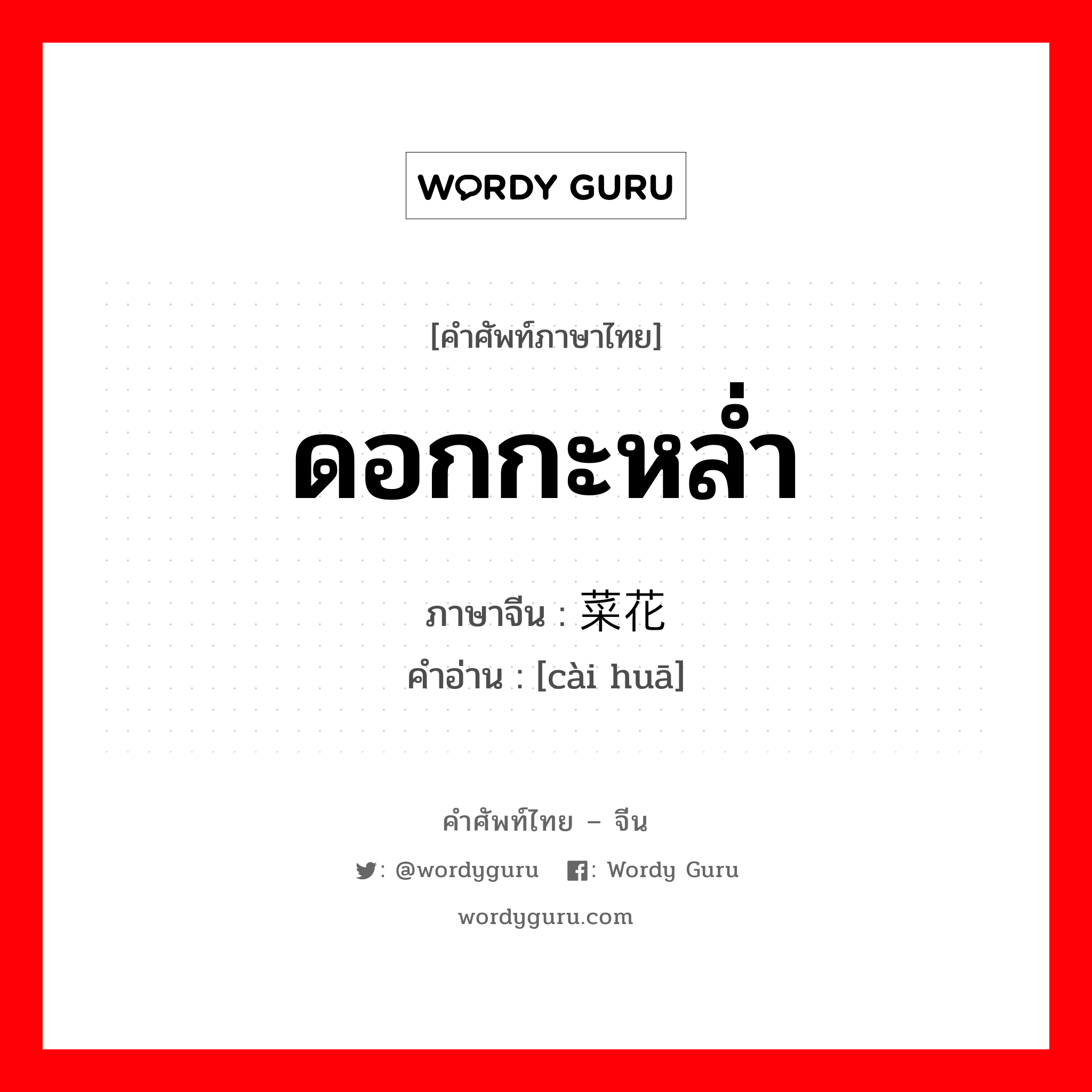 ดอกกะหล่ำ ภาษาจีนคืออะไร, คำศัพท์ภาษาไทย - จีน ดอกกะหล่ำ ภาษาจีน 菜花 คำอ่าน [cài huā]