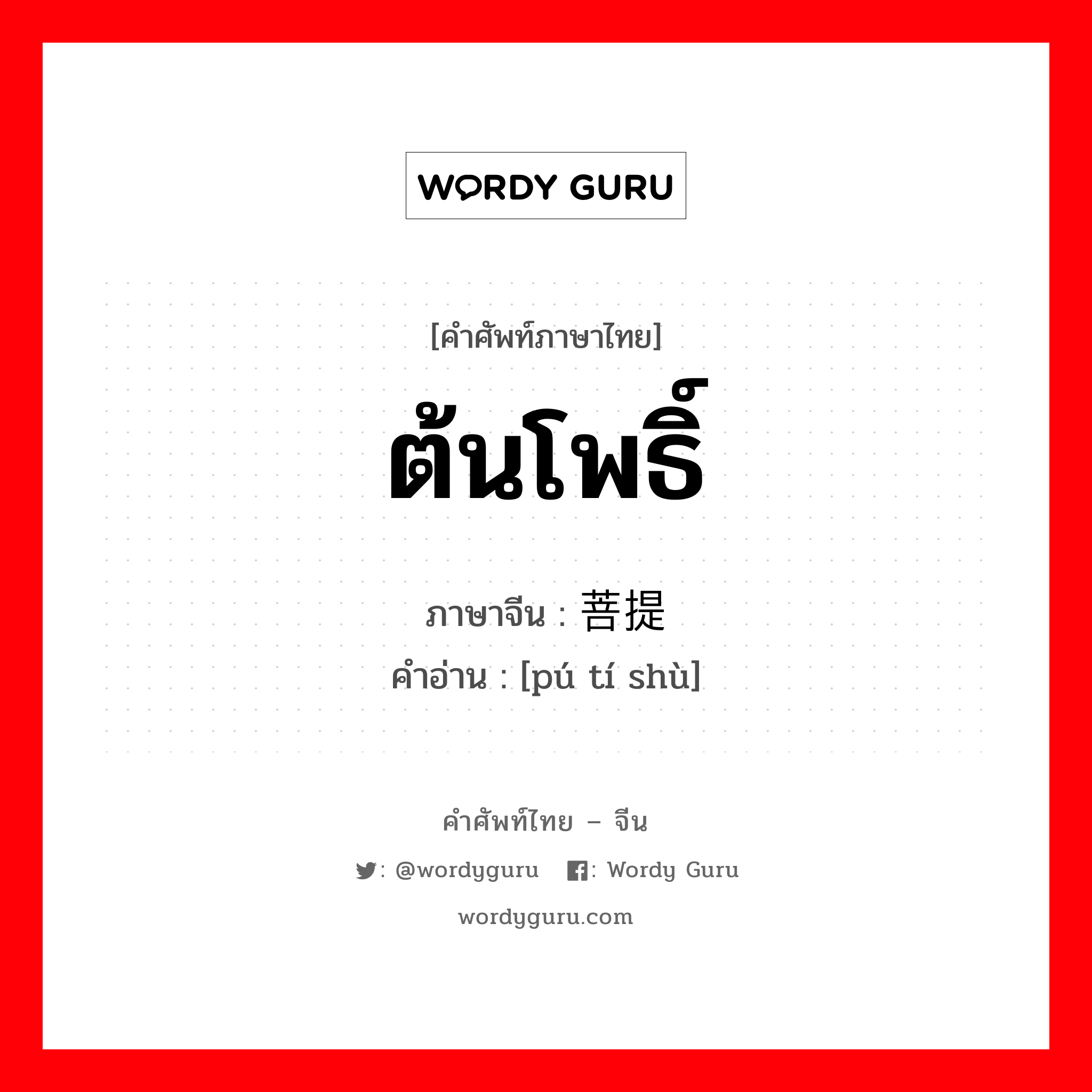 ต้นโพธิ์ ภาษาจีนคืออะไร, คำศัพท์ภาษาไทย - จีน ต้นโพธิ์ ภาษาจีน 菩提树 คำอ่าน [pú tí shù]