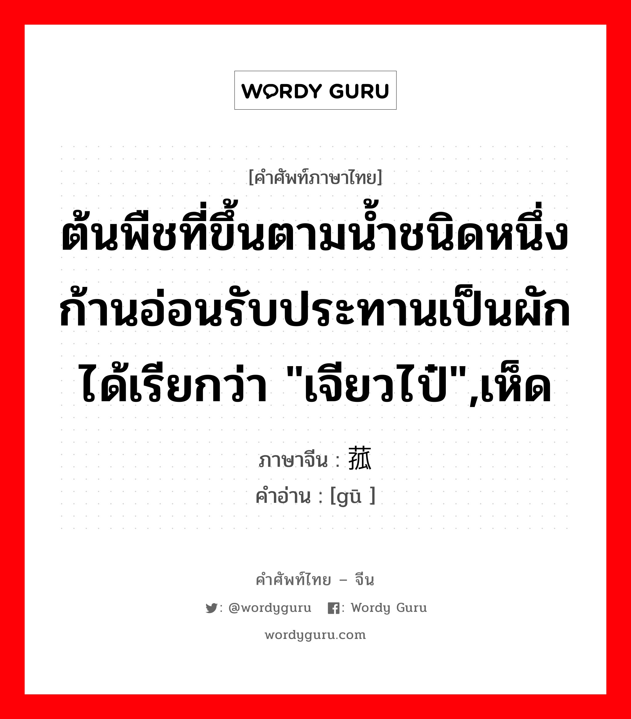 ต้นพืชที่ขึ้นตามน้ำชนิดหนึ่ง ก้านอ่อนรับประทานเป็นผักได้เรียกว่า &#34;เจียวไป๋&#34;,เห็ด ภาษาจีนคืออะไร, คำศัพท์ภาษาไทย - จีน ต้นพืชที่ขึ้นตามน้ำชนิดหนึ่ง ก้านอ่อนรับประทานเป็นผักได้เรียกว่า &#34;เจียวไป๋&#34;,เห็ด ภาษาจีน 菰 คำอ่าน [gū ]