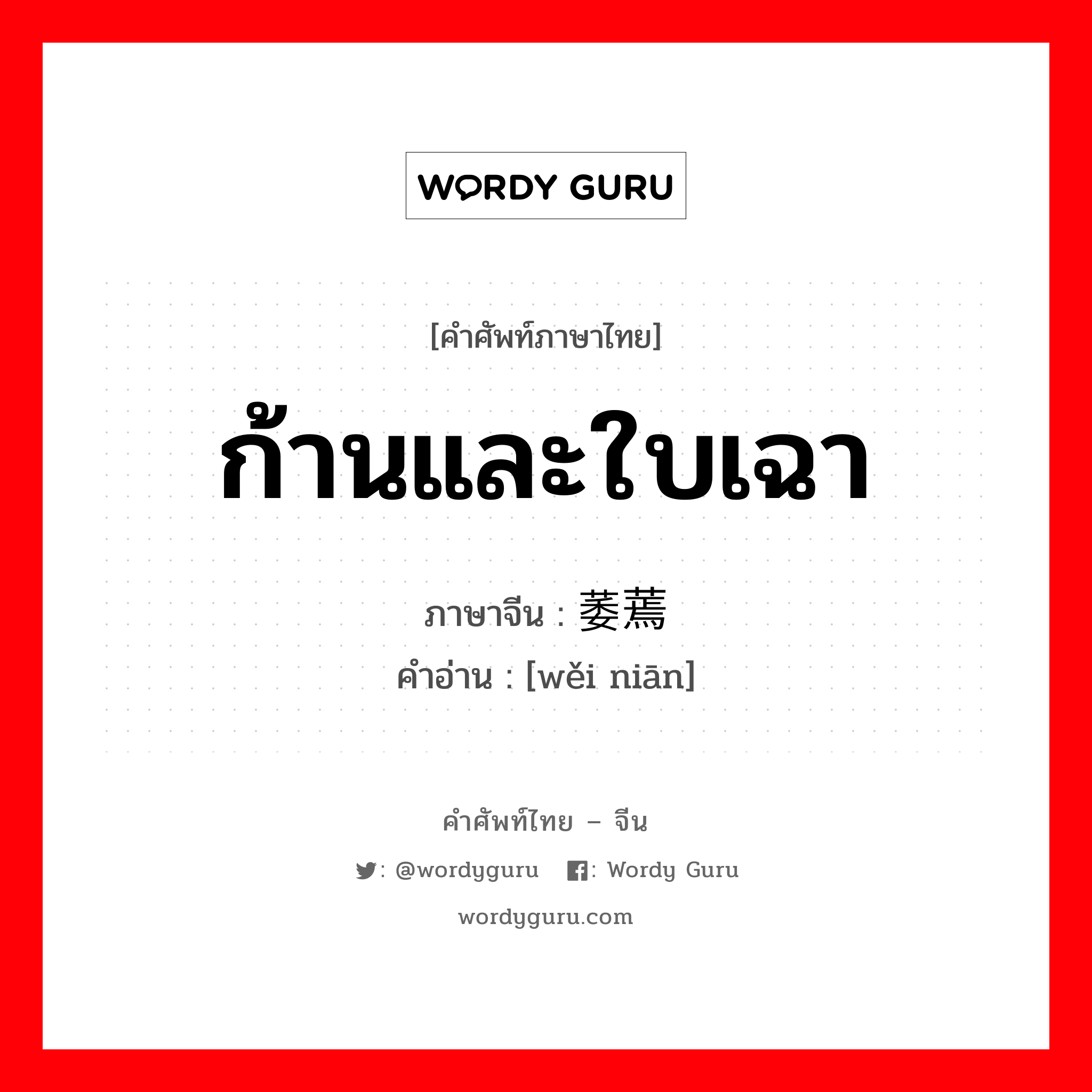 ก้านและใบเฉา ภาษาจีนคืออะไร, คำศัพท์ภาษาไทย - จีน ก้านและใบเฉา ภาษาจีน 萎蔫 คำอ่าน [wěi niān]