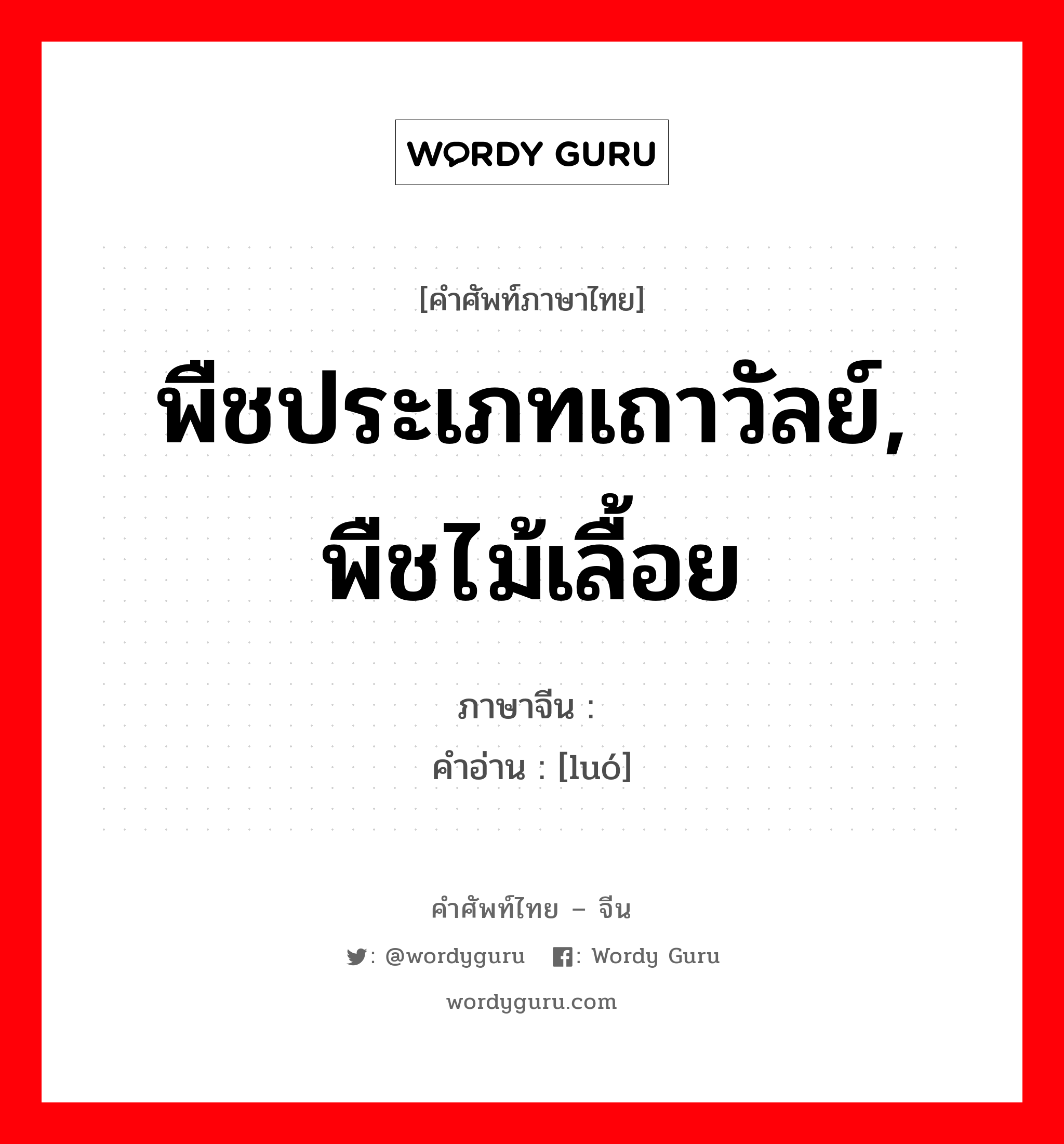 พืชประเภทเถาวัลย์, พืชไม้เลื้อย ภาษาจีนคืออะไร, คำศัพท์ภาษาไทย - จีน พืชประเภทเถาวัลย์, พืชไม้เลื้อย ภาษาจีน 萝 คำอ่าน [luó]