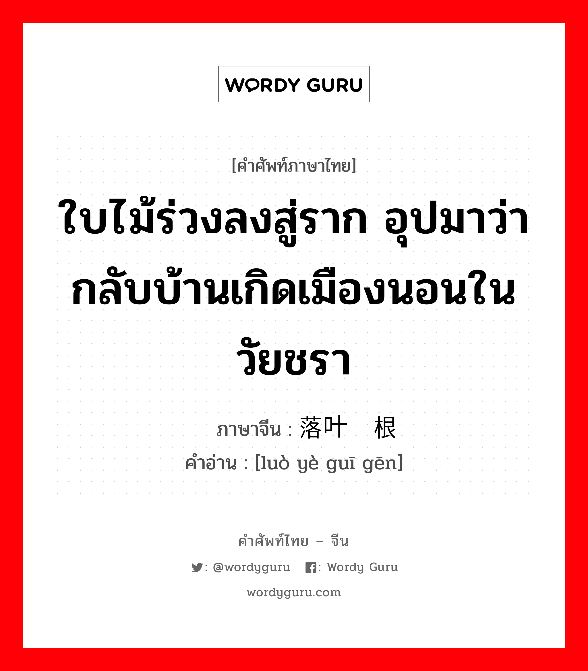 ใบไม้ร่วงลงสู่ราก อุปมาว่า กลับบ้านเกิดเมืองนอนในวัยชรา ภาษาจีนคืออะไร, คำศัพท์ภาษาไทย - จีน ใบไม้ร่วงลงสู่ราก อุปมาว่า กลับบ้านเกิดเมืองนอนในวัยชรา ภาษาจีน 落叶归根 คำอ่าน [luò yè guī gēn]