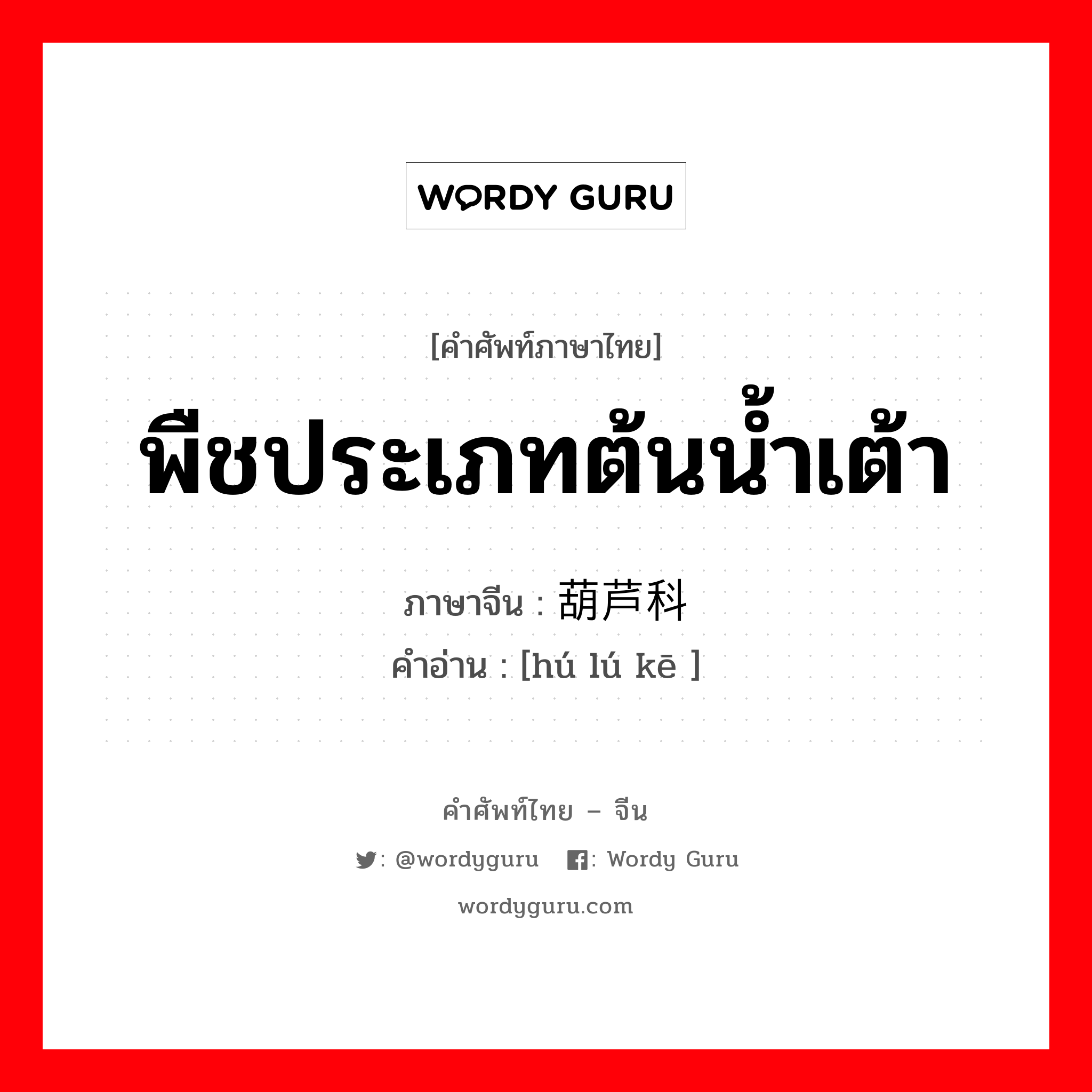 พืชประเภทต้นน้ำเต้า ภาษาจีนคืออะไร, คำศัพท์ภาษาไทย - จีน พืชประเภทต้นน้ำเต้า ภาษาจีน 葫芦科 คำอ่าน [hú lú kē ]