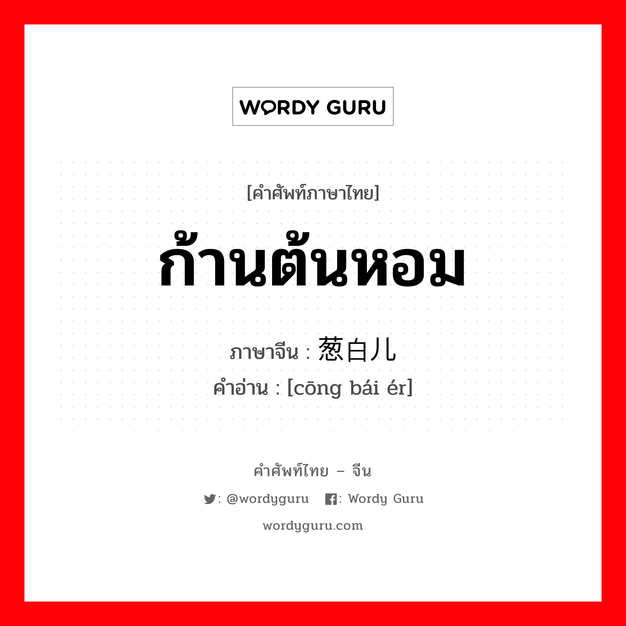 ก้านต้นหอม ภาษาจีนคืออะไร, คำศัพท์ภาษาไทย - จีน ก้านต้นหอม ภาษาจีน 葱白儿 คำอ่าน [cōng bái ér]