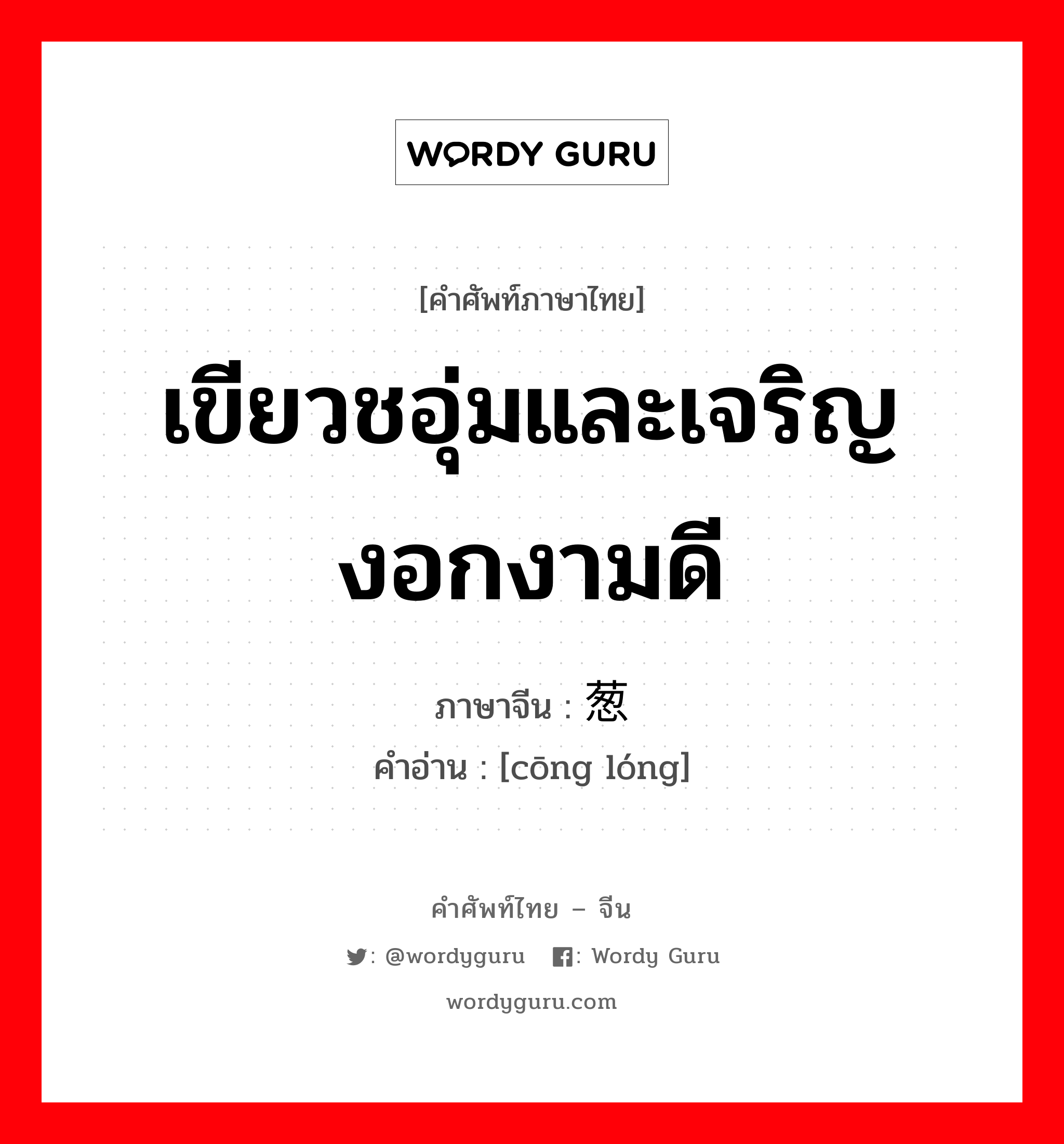 เขียวชอุ่มและเจริญงอกงามดี ภาษาจีนคืออะไร, คำศัพท์ภาษาไทย - จีน เขียวชอุ่มและเจริญงอกงามดี ภาษาจีน 葱茏 คำอ่าน [cōng lóng]