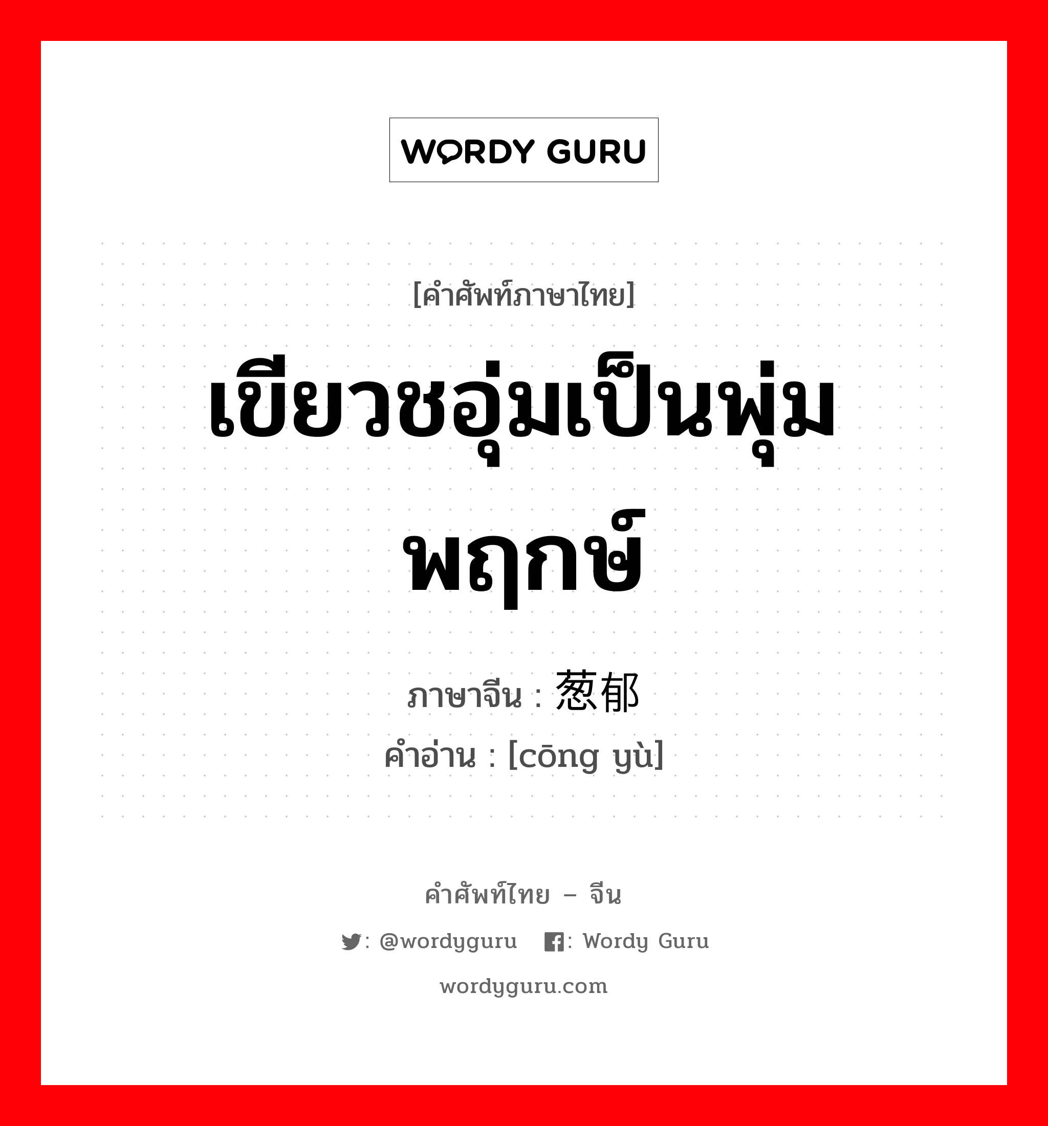 เขียวชอุ่มเป็นพุ่มพฤกษ์ ภาษาจีนคืออะไร, คำศัพท์ภาษาไทย - จีน เขียวชอุ่มเป็นพุ่มพฤกษ์ ภาษาจีน 葱郁 คำอ่าน [cōng yù]