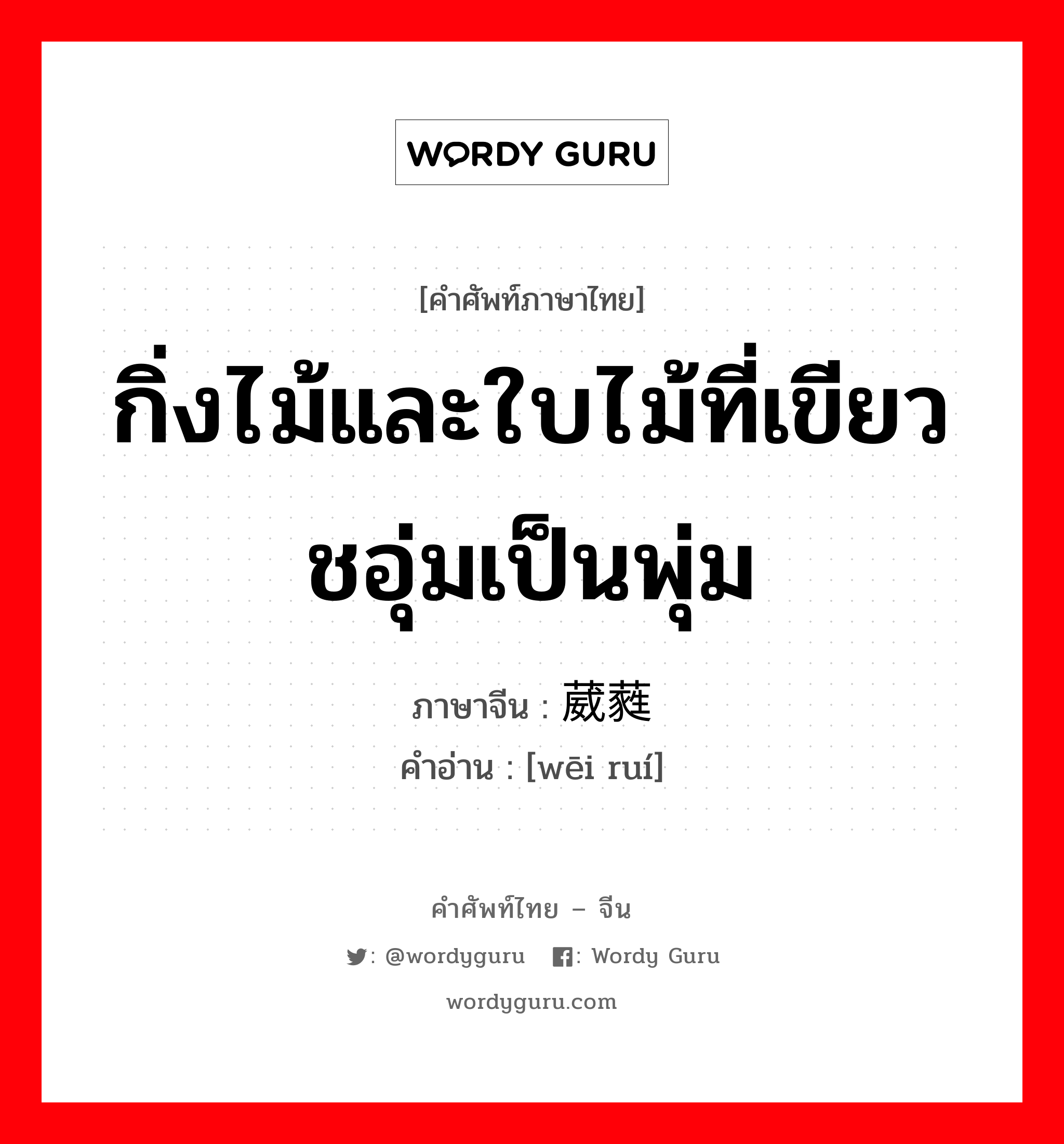 กิ่งไม้และใบไม้ที่เขียวชอุ่มเป็นพุ่ม ภาษาจีนคืออะไร, คำศัพท์ภาษาไทย - จีน กิ่งไม้และใบไม้ที่เขียวชอุ่มเป็นพุ่ม ภาษาจีน 葳蕤 คำอ่าน [wēi ruí]