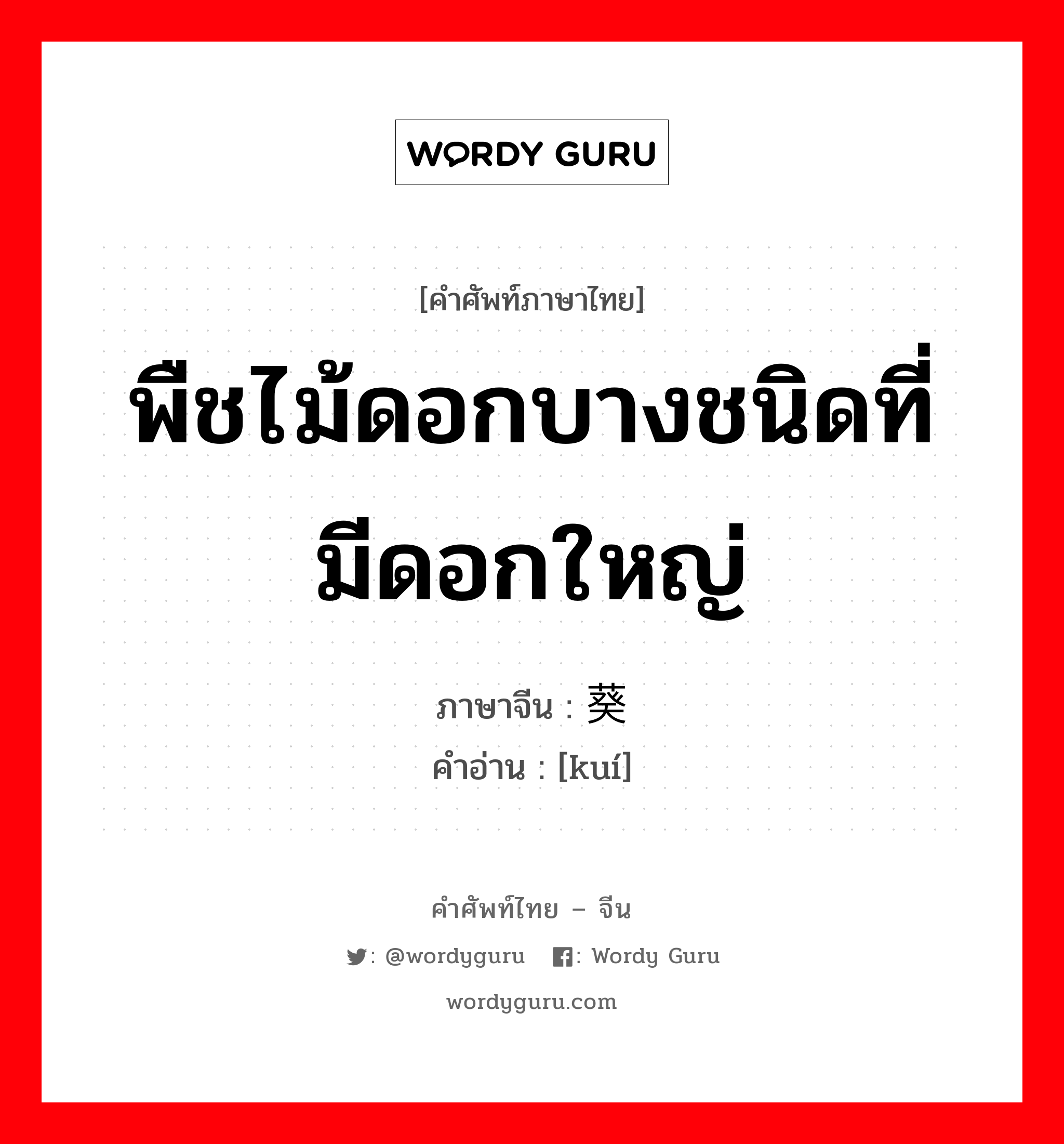 พืชไม้ดอกบางชนิดที่มีดอกใหญ่ ภาษาจีนคืออะไร, คำศัพท์ภาษาไทย - จีน พืชไม้ดอกบางชนิดที่มีดอกใหญ่ ภาษาจีน 葵 คำอ่าน [kuí]