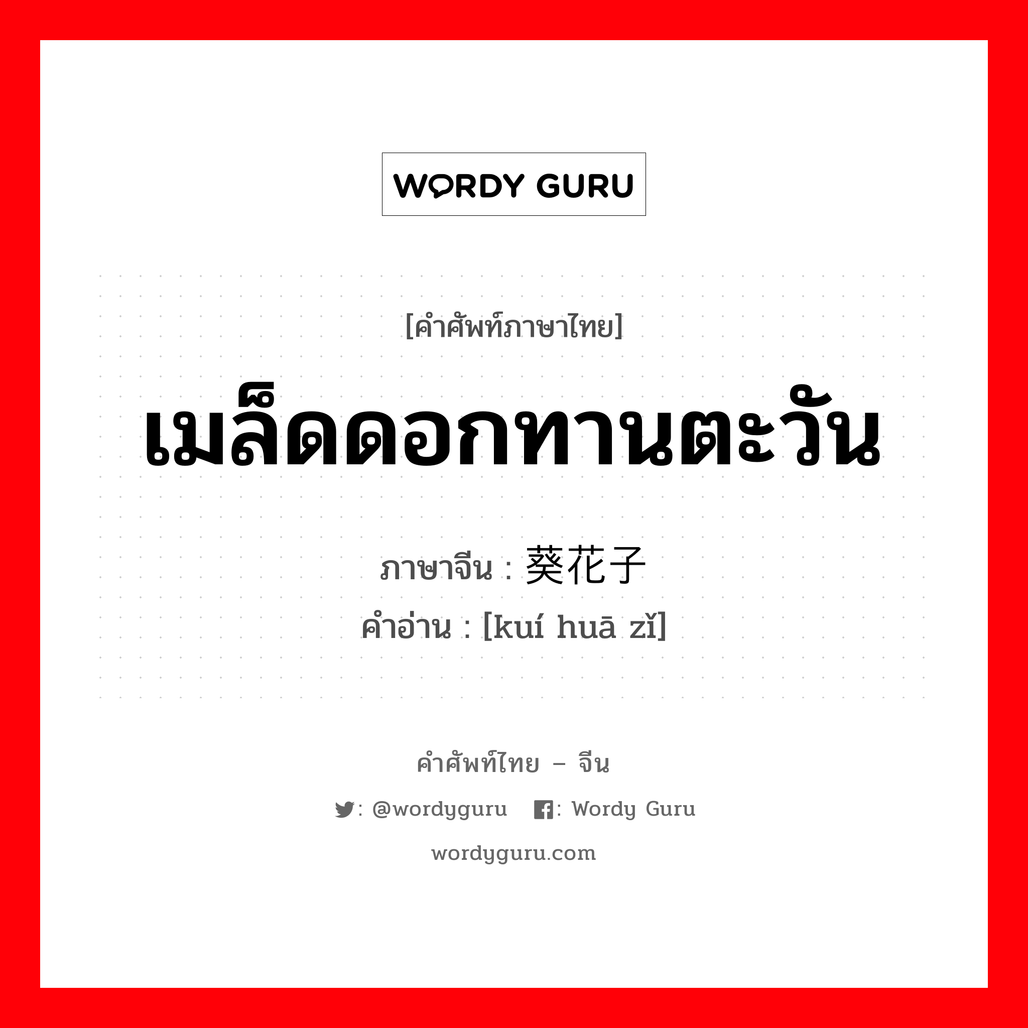 เมล็ดดอกทานตะวัน ภาษาจีนคืออะไร, คำศัพท์ภาษาไทย - จีน เมล็ดดอกทานตะวัน ภาษาจีน 葵花子 คำอ่าน [kuí huā zǐ]