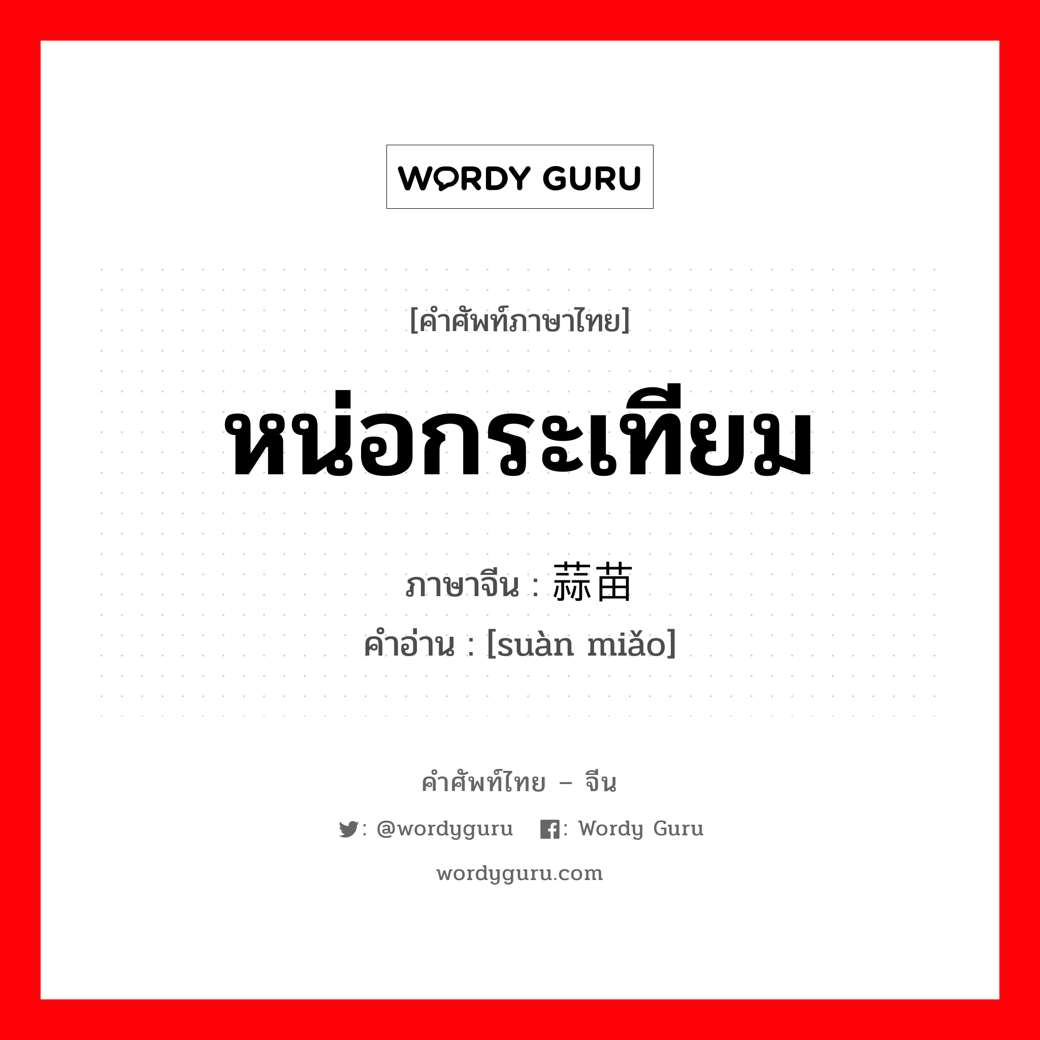 หน่อกระเทียม ภาษาจีนคืออะไร, คำศัพท์ภาษาไทย - จีน หน่อกระเทียม ภาษาจีน 蒜苗 คำอ่าน [suàn miǎo]