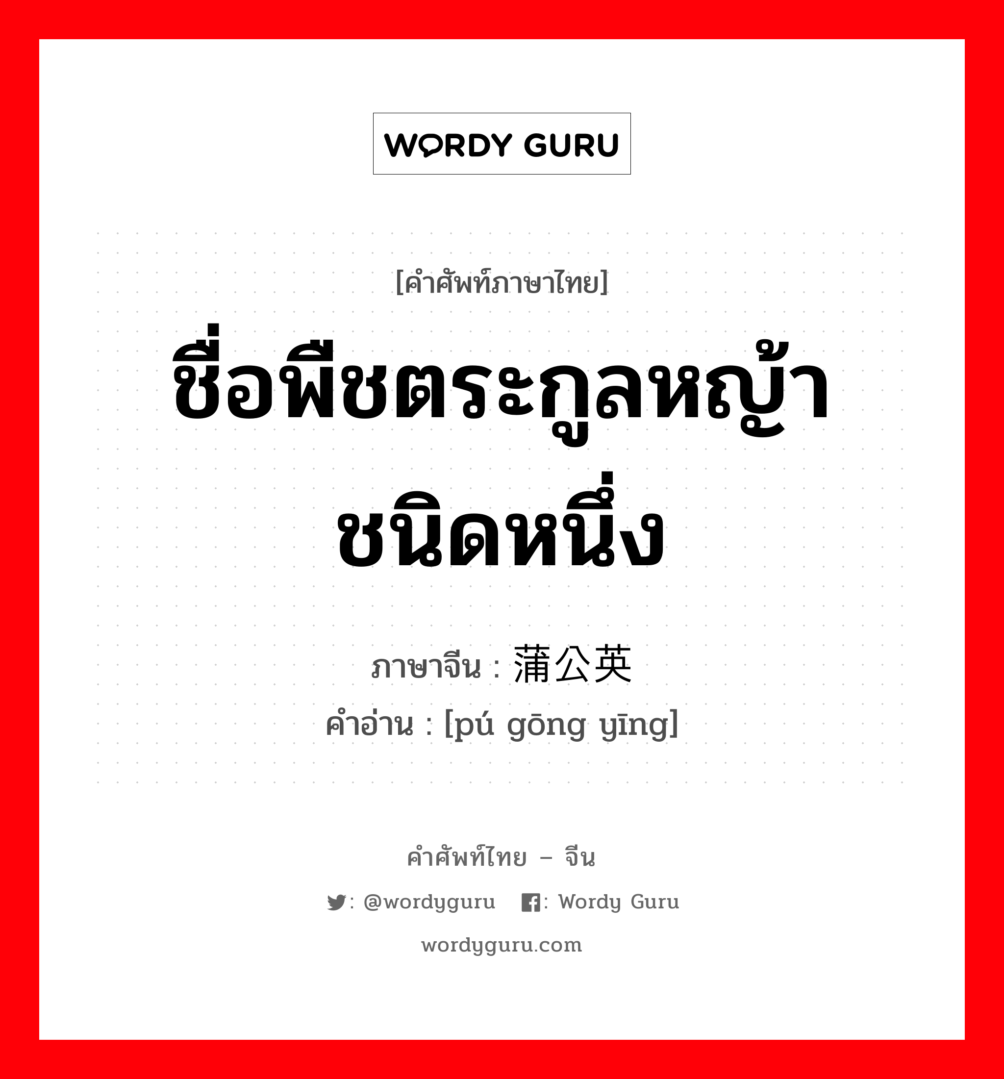 ชื่อพืชตระกูลหญ้าชนิดหนึ่ง ภาษาจีนคืออะไร, คำศัพท์ภาษาไทย - จีน ชื่อพืชตระกูลหญ้าชนิดหนึ่ง ภาษาจีน 蒲公英 คำอ่าน [pú gōng yīng]