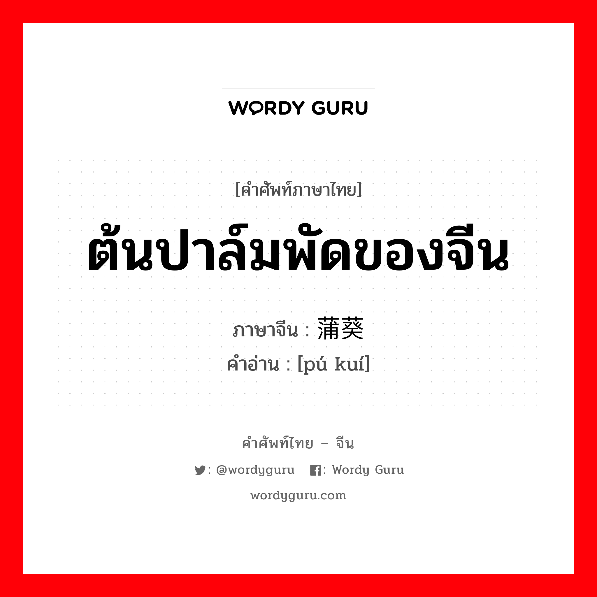 ต้นปาล์มพัดของจีน ภาษาจีนคืออะไร, คำศัพท์ภาษาไทย - จีน ต้นปาล์มพัดของจีน ภาษาจีน 蒲葵 คำอ่าน [pú kuí]