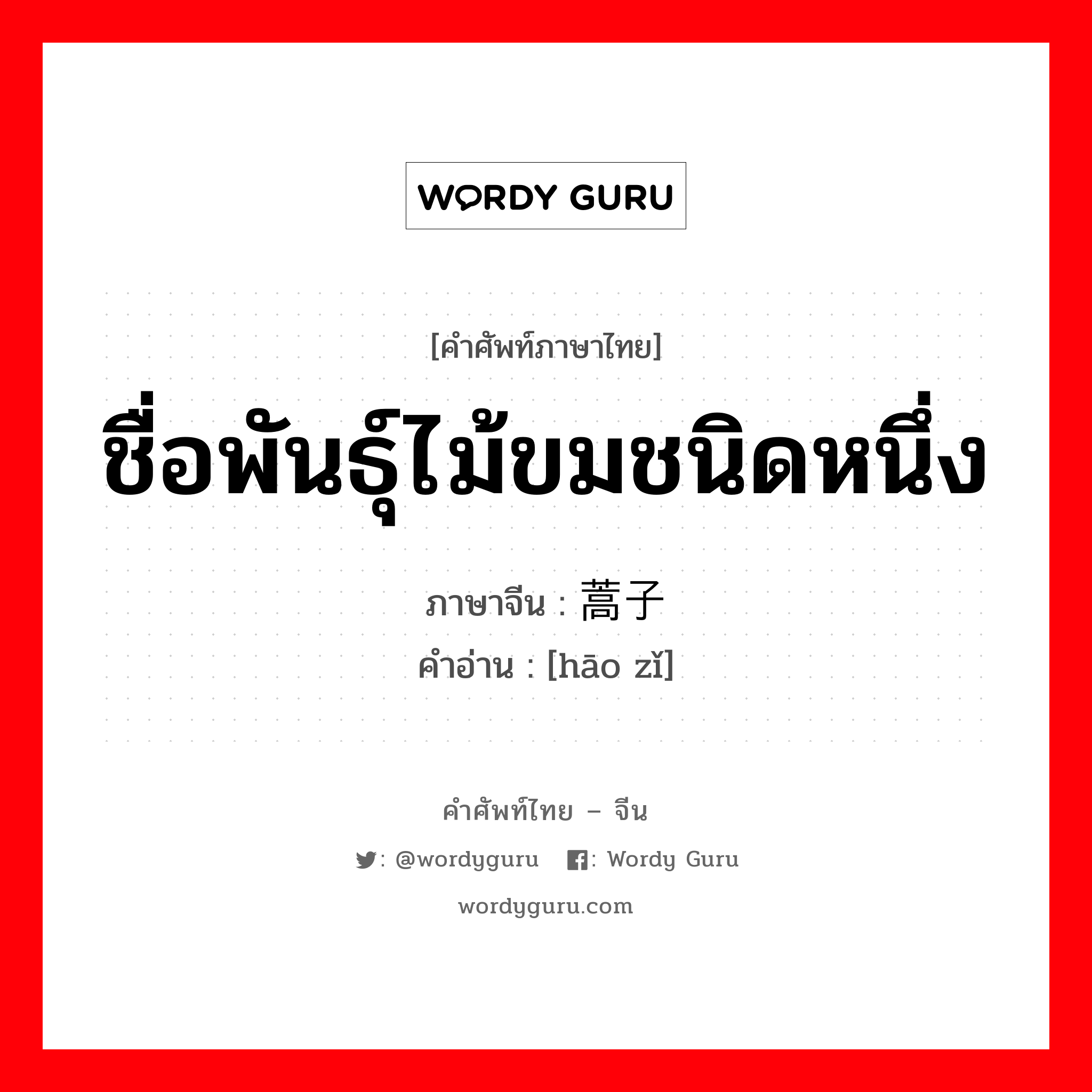 ชื่อพันธุ์ไม้ขมชนิดหนึ่ง ภาษาจีนคืออะไร, คำศัพท์ภาษาไทย - จีน ชื่อพันธุ์ไม้ขมชนิดหนึ่ง ภาษาจีน 蒿子 คำอ่าน [hāo zǐ]