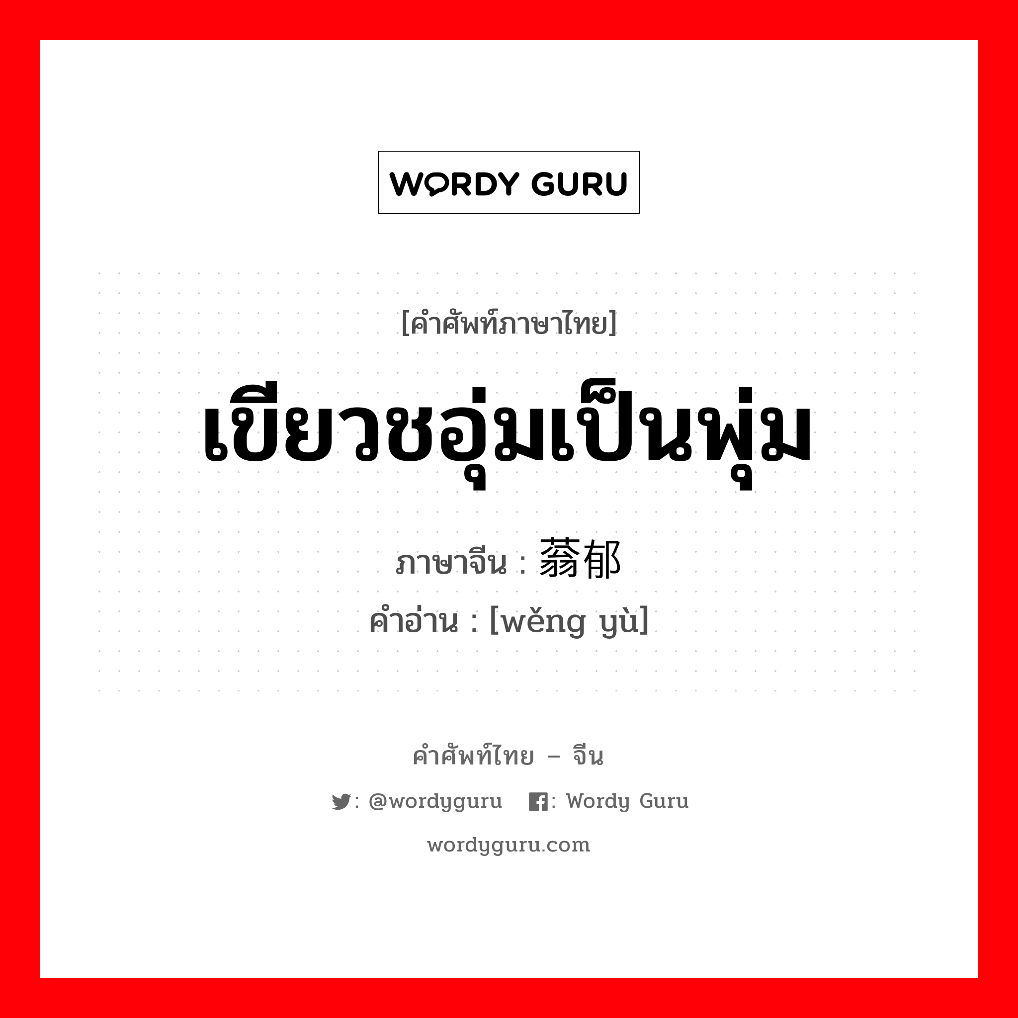 เขียวชอุ่มเป็นพุ่ม ภาษาจีนคืออะไร, คำศัพท์ภาษาไทย - จีน เขียวชอุ่มเป็นพุ่ม ภาษาจีน 蓊郁 คำอ่าน [wěng yù]