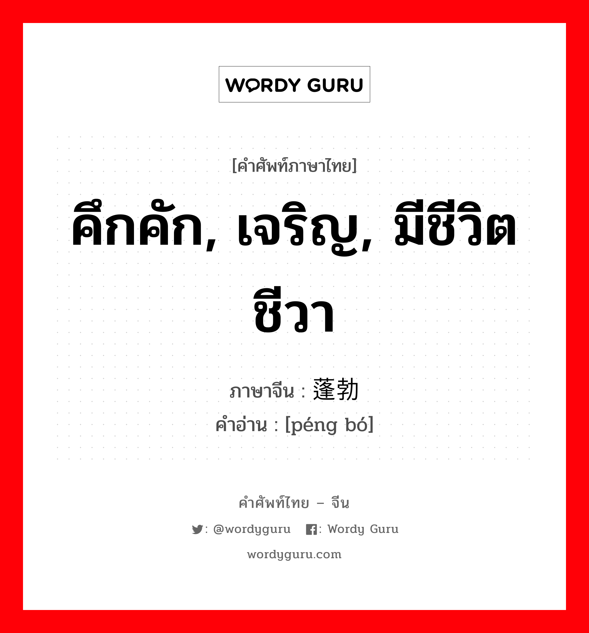 蓬勃 ภาษาไทย?, คำศัพท์ภาษาไทย - จีน 蓬勃 ภาษาจีน คึกคัก, เจริญ, มีชีวิตชีวา คำอ่าน [péng bó]