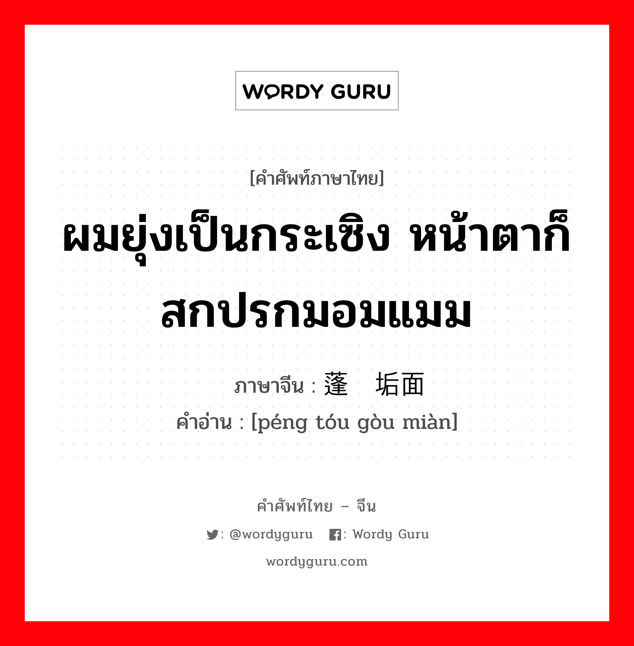 ผมยุ่งเป็นกระเซิง หน้าตาก็สกปรกมอมแมม ภาษาจีนคืออะไร, คำศัพท์ภาษาไทย - จีน ผมยุ่งเป็นกระเซิง หน้าตาก็สกปรกมอมแมม ภาษาจีน 蓬头垢面 คำอ่าน [péng tóu gòu miàn]