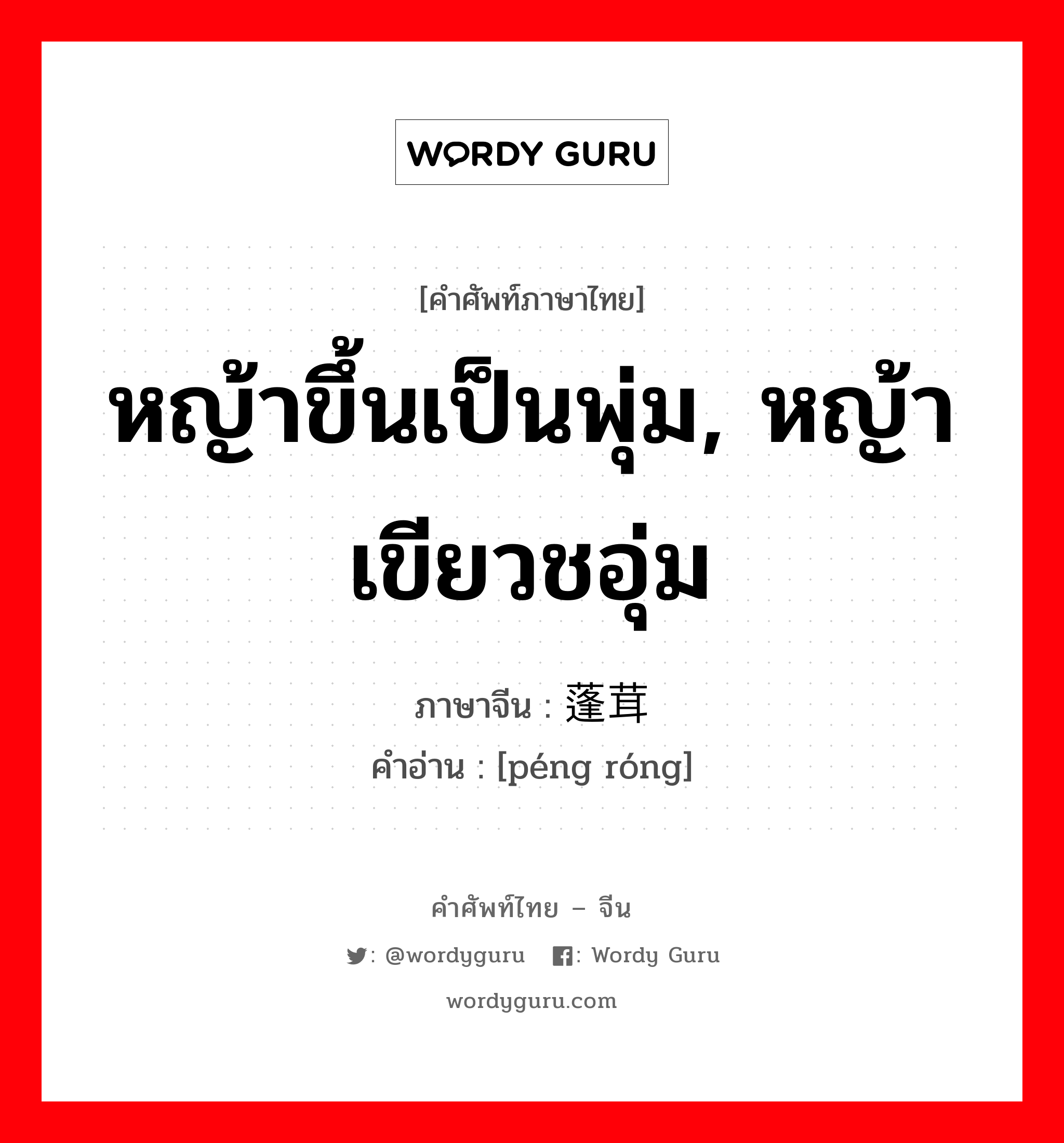 หญ้าขึ้นเป็นพุ่ม, หญ้าเขียวชอุ่ม ภาษาจีนคืออะไร, คำศัพท์ภาษาไทย - จีน หญ้าขึ้นเป็นพุ่ม, หญ้าเขียวชอุ่ม ภาษาจีน 蓬茸 คำอ่าน [péng róng]