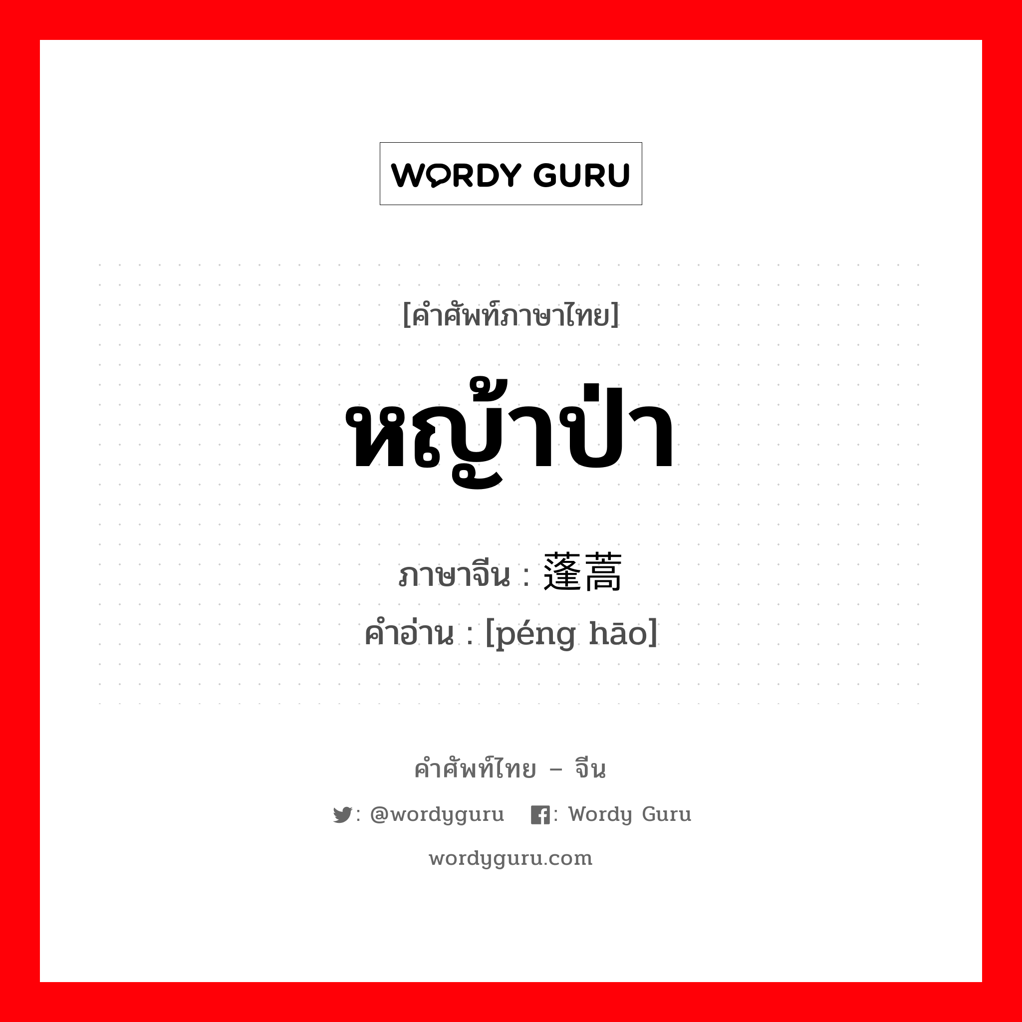 หญ้าป่า ภาษาจีนคืออะไร, คำศัพท์ภาษาไทย - จีน หญ้าป่า ภาษาจีน 蓬蒿 คำอ่าน [péng hāo]