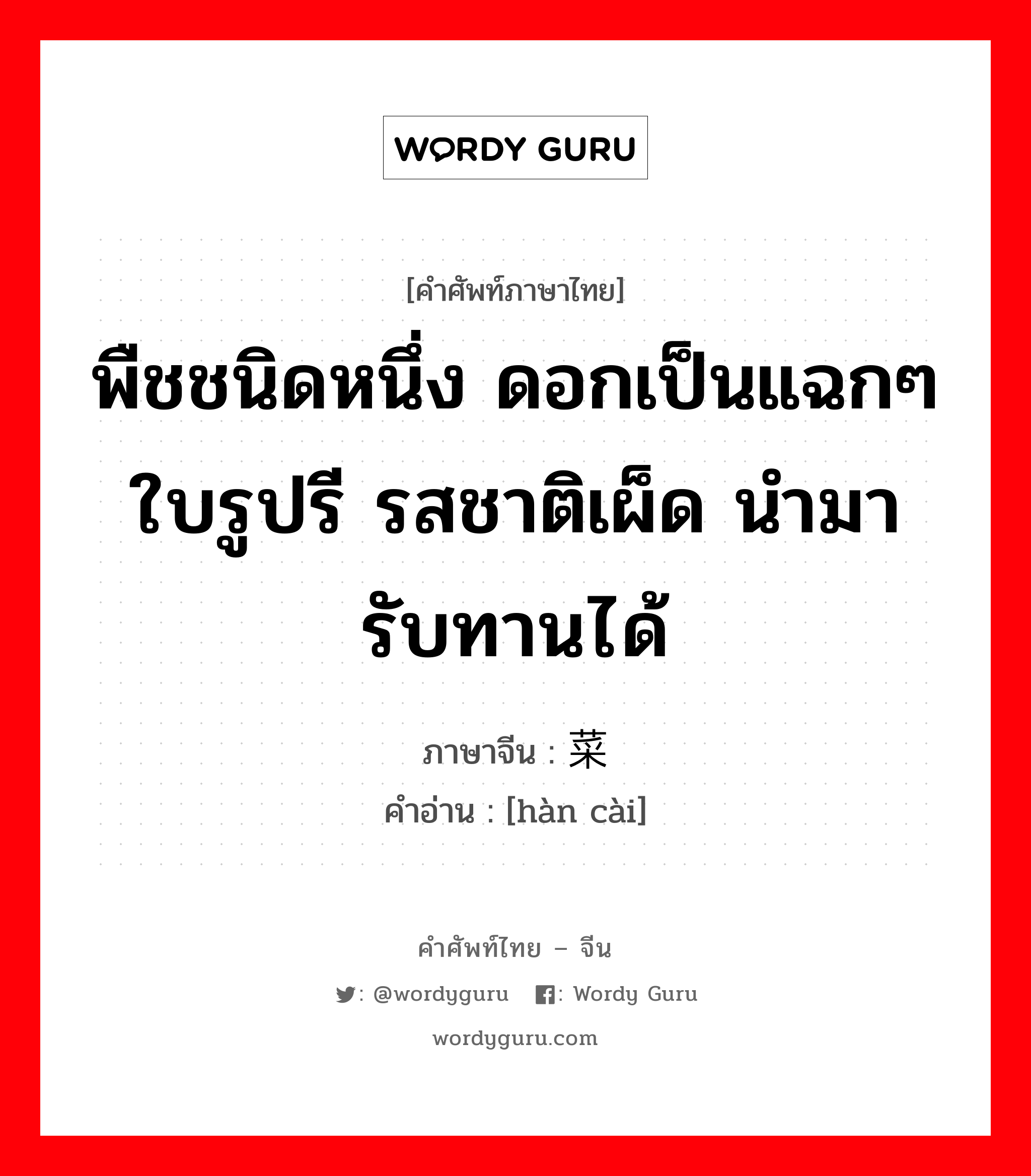 พืชชนิดหนึ่ง ดอกเป็นแฉกๆใบรูปรี รสชาติเผ็ด นำมารับทานได้ ภาษาจีนคืออะไร, คำศัพท์ภาษาไทย - จีน พืชชนิดหนึ่ง ดอกเป็นแฉกๆใบรูปรี รสชาติเผ็ด นำมารับทานได้ ภาษาจีน 蔊菜 คำอ่าน [hàn cài]