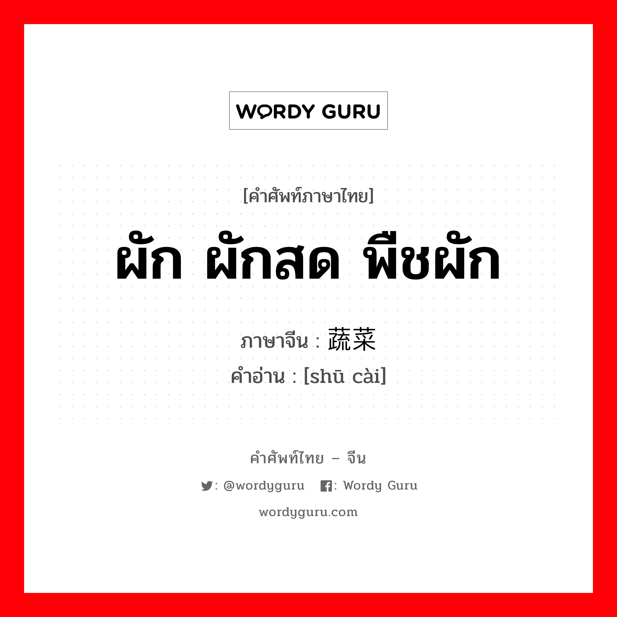 ผัก ผักสด พืชผัก ภาษาจีนคืออะไร, คำศัพท์ภาษาไทย - จีน ผัก ผักสด พืชผัก ภาษาจีน 蔬菜 คำอ่าน [shū cài]