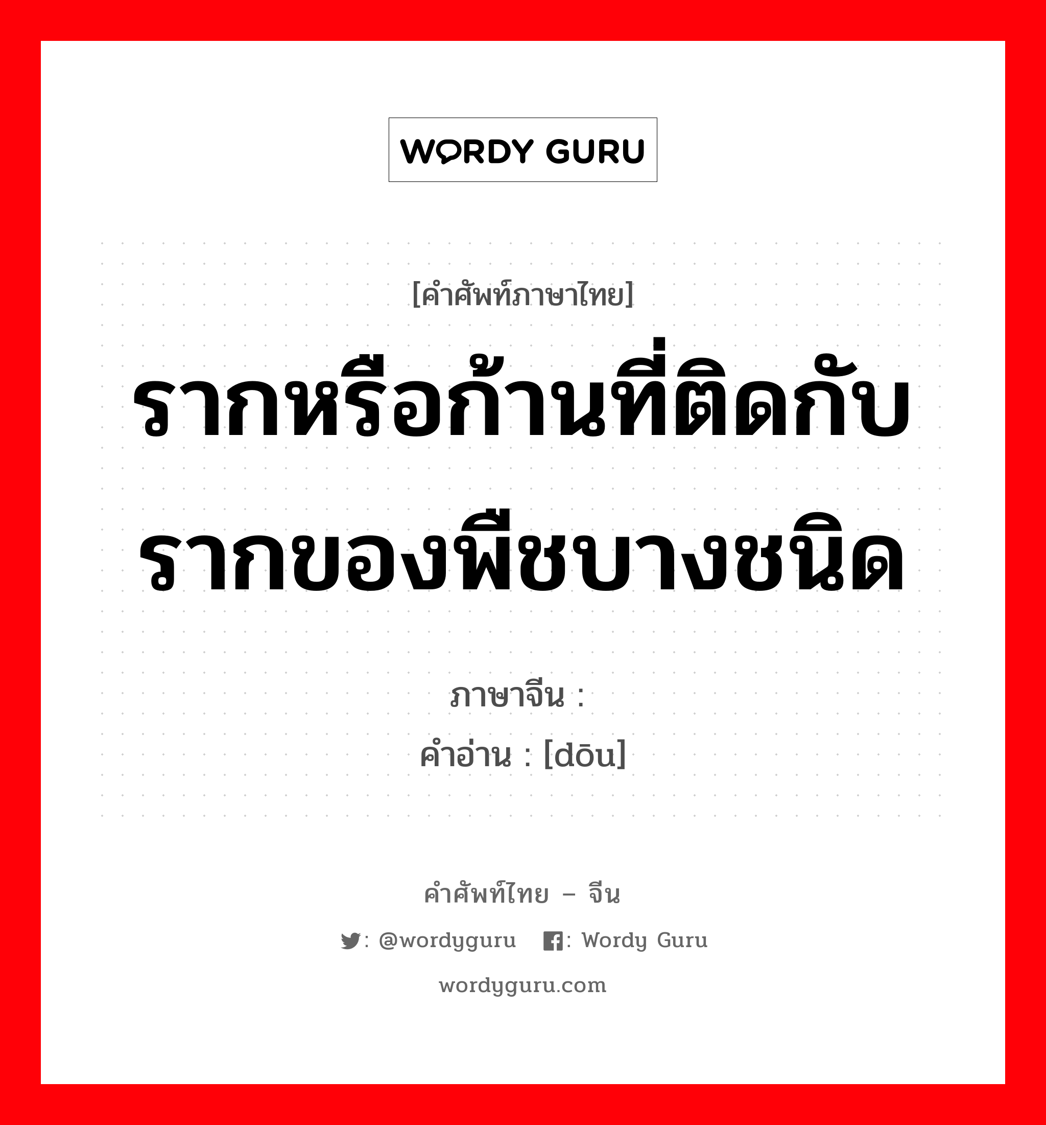 รากหรือก้านที่ติดกับรากของพืชบางชนิด ภาษาจีนคืออะไร, คำศัพท์ภาษาไทย - จีน รากหรือก้านที่ติดกับรากของพืชบางชนิด ภาษาจีน 蔸 คำอ่าน [dōu]