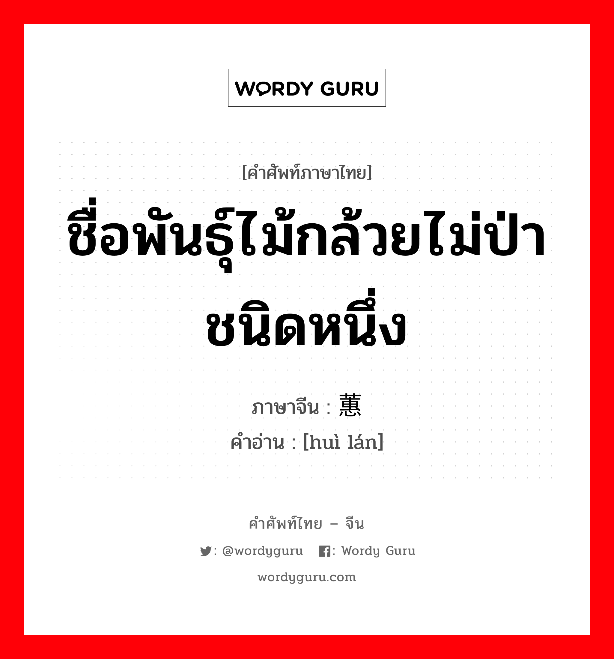 ชื่อพันธุ์ไม้กล้วยไม่ป่าชนิดหนึ่ง ภาษาจีนคืออะไร, คำศัพท์ภาษาไทย - จีน ชื่อพันธุ์ไม้กล้วยไม่ป่าชนิดหนึ่ง ภาษาจีน 蕙兰 คำอ่าน [huì lán]